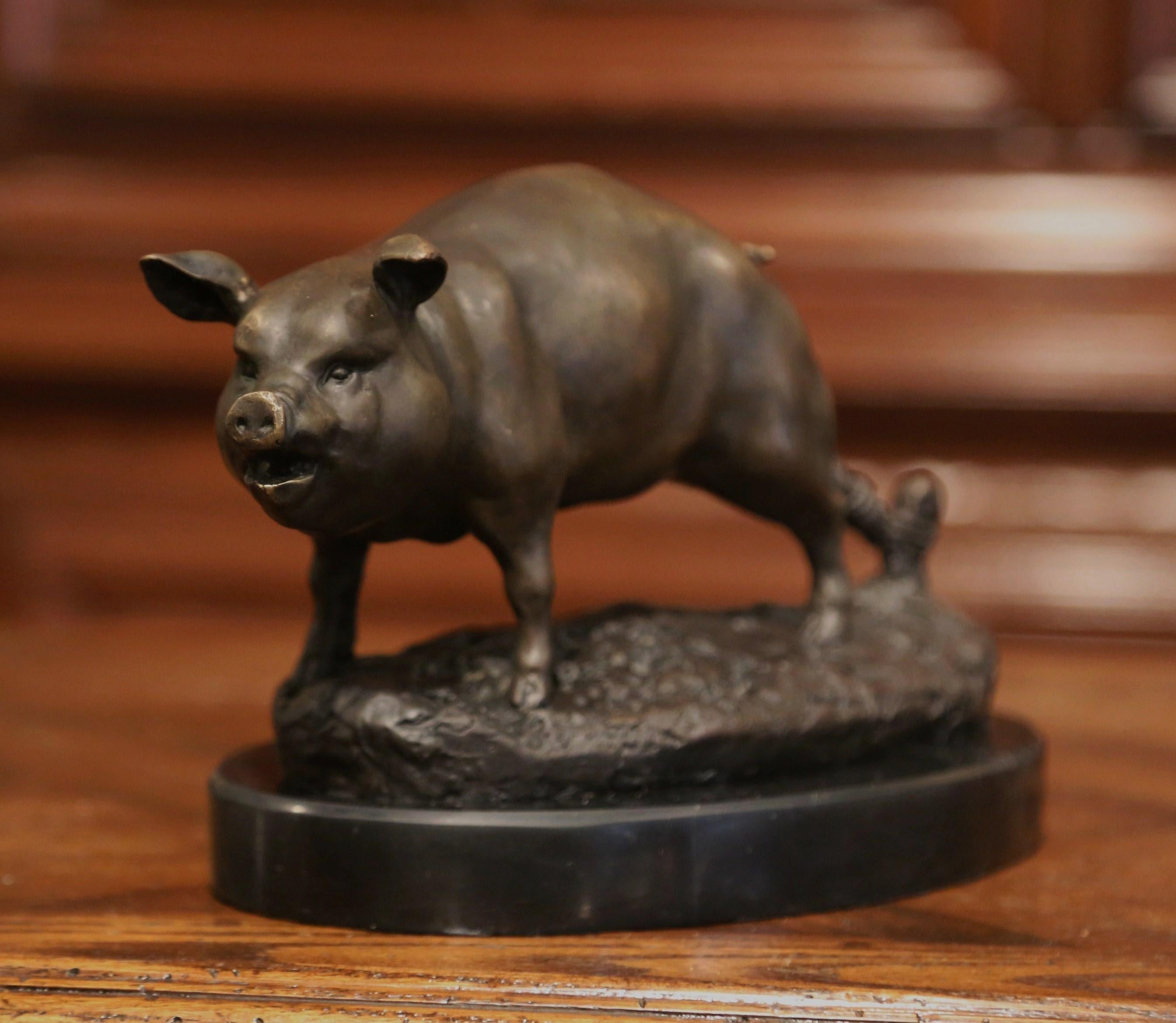 Decorate a shelf or a desk with this beautifully carved bronze sculpture; created in France, circa 1910, the farm animal stands on rocky ground with his back leg tied to a post. The pig figure is signed on the base but is unreadable; it is however