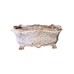 Early 20th Century French Cast Iron Art Nouveau Planter