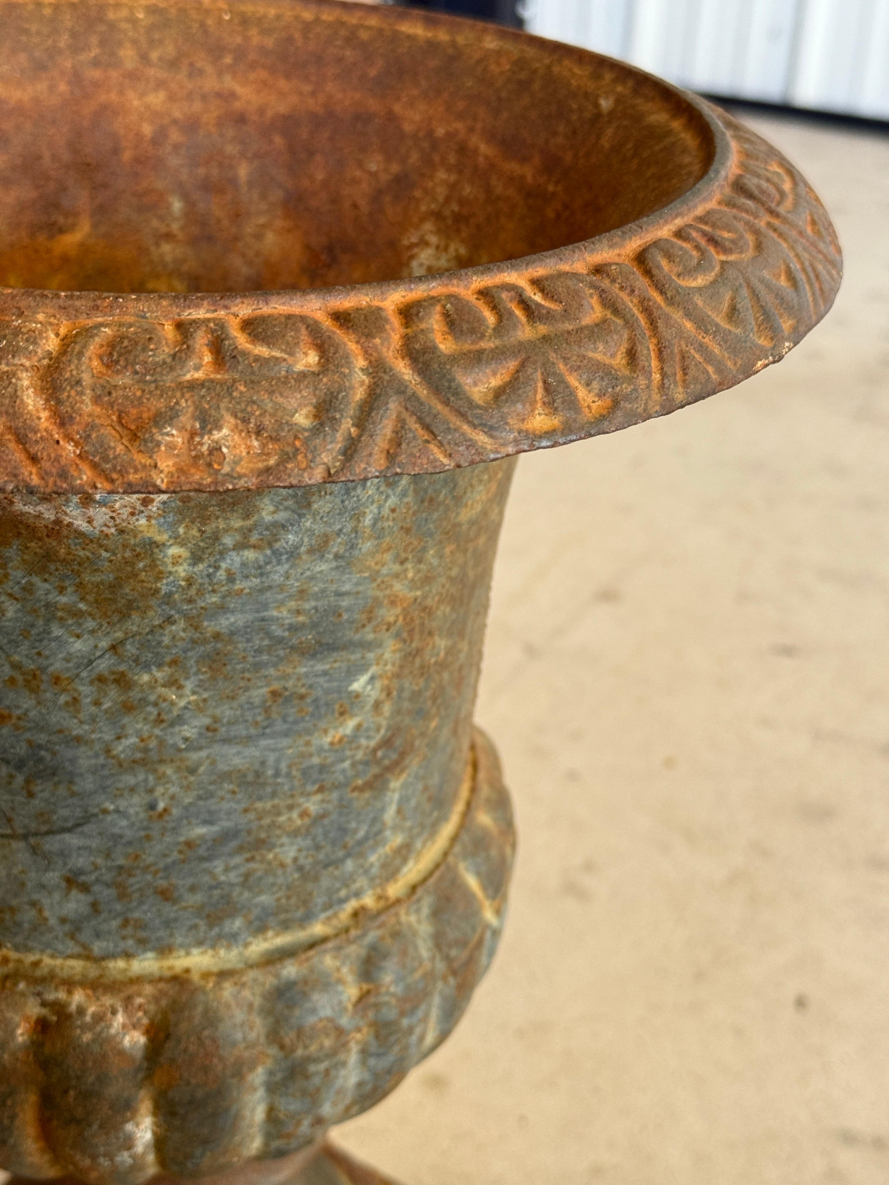 Fioriere medicee in ghisa dei primi del Novecento - Coppia in vendita 4