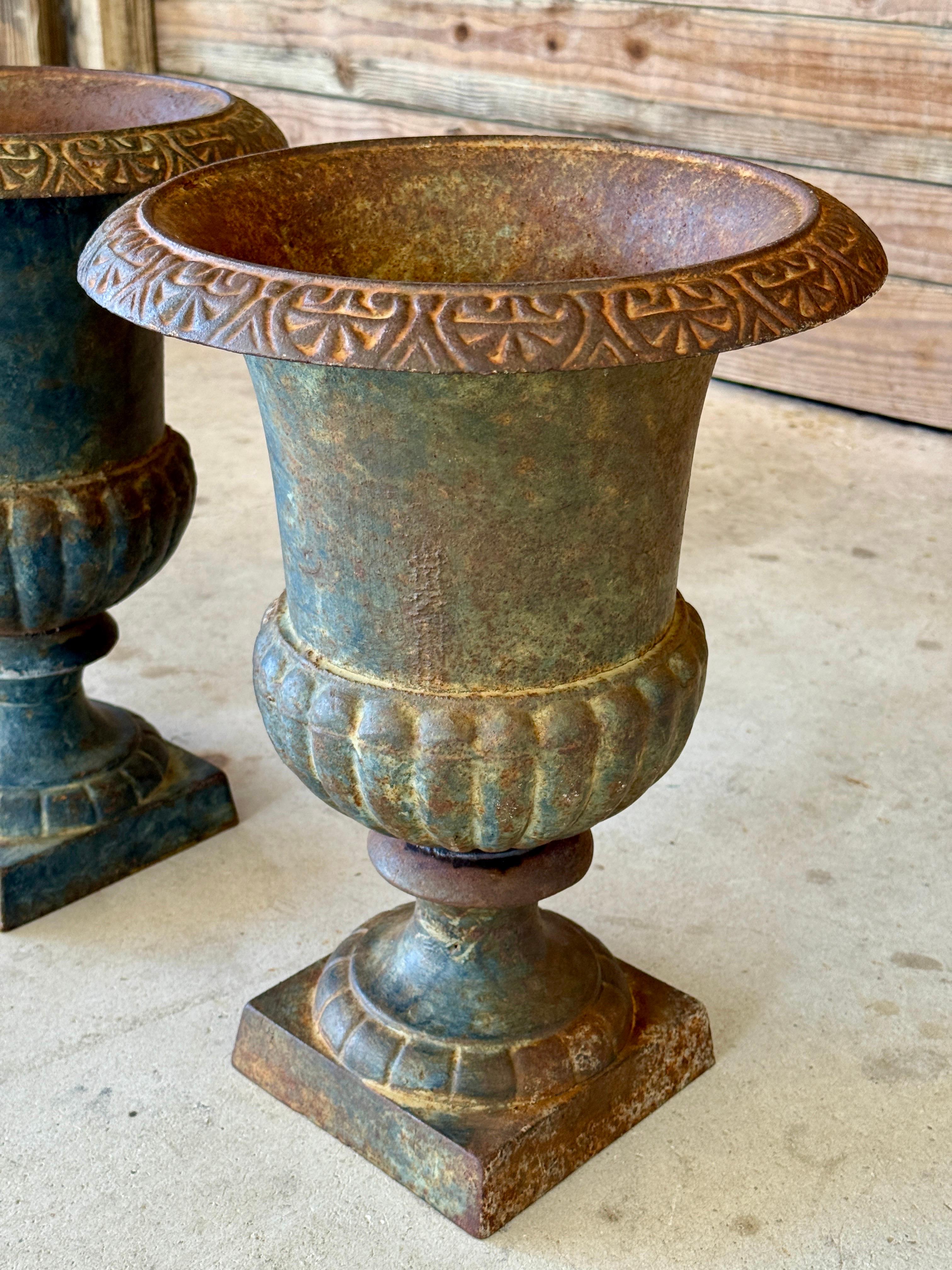 XX secolo Fioriere medicee in ghisa dei primi del Novecento - Coppia in vendita