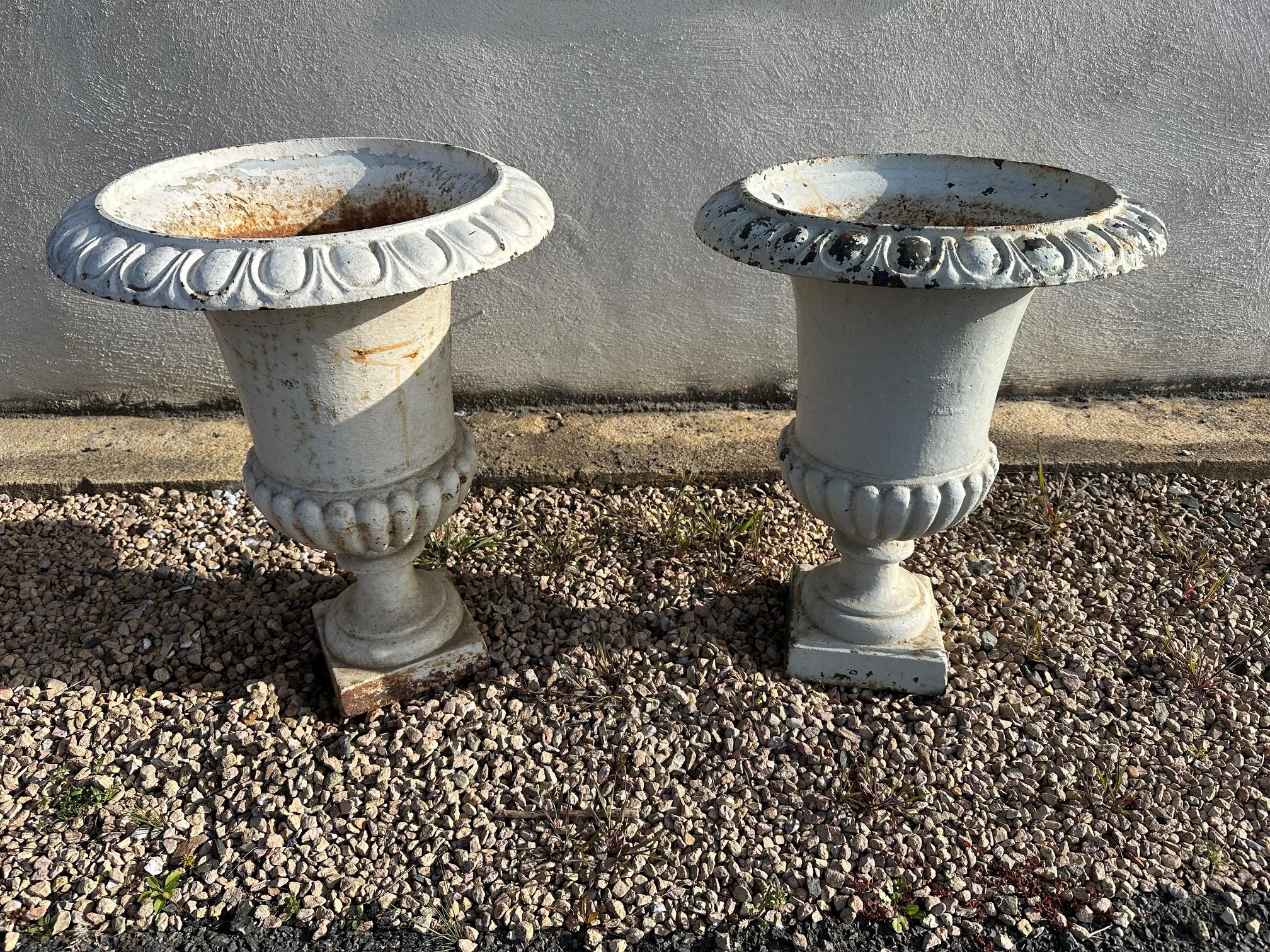 Early 20th century French Cast Iron Medicis Planters, 1900s In Good Condition For Sale In LEGNY, FR