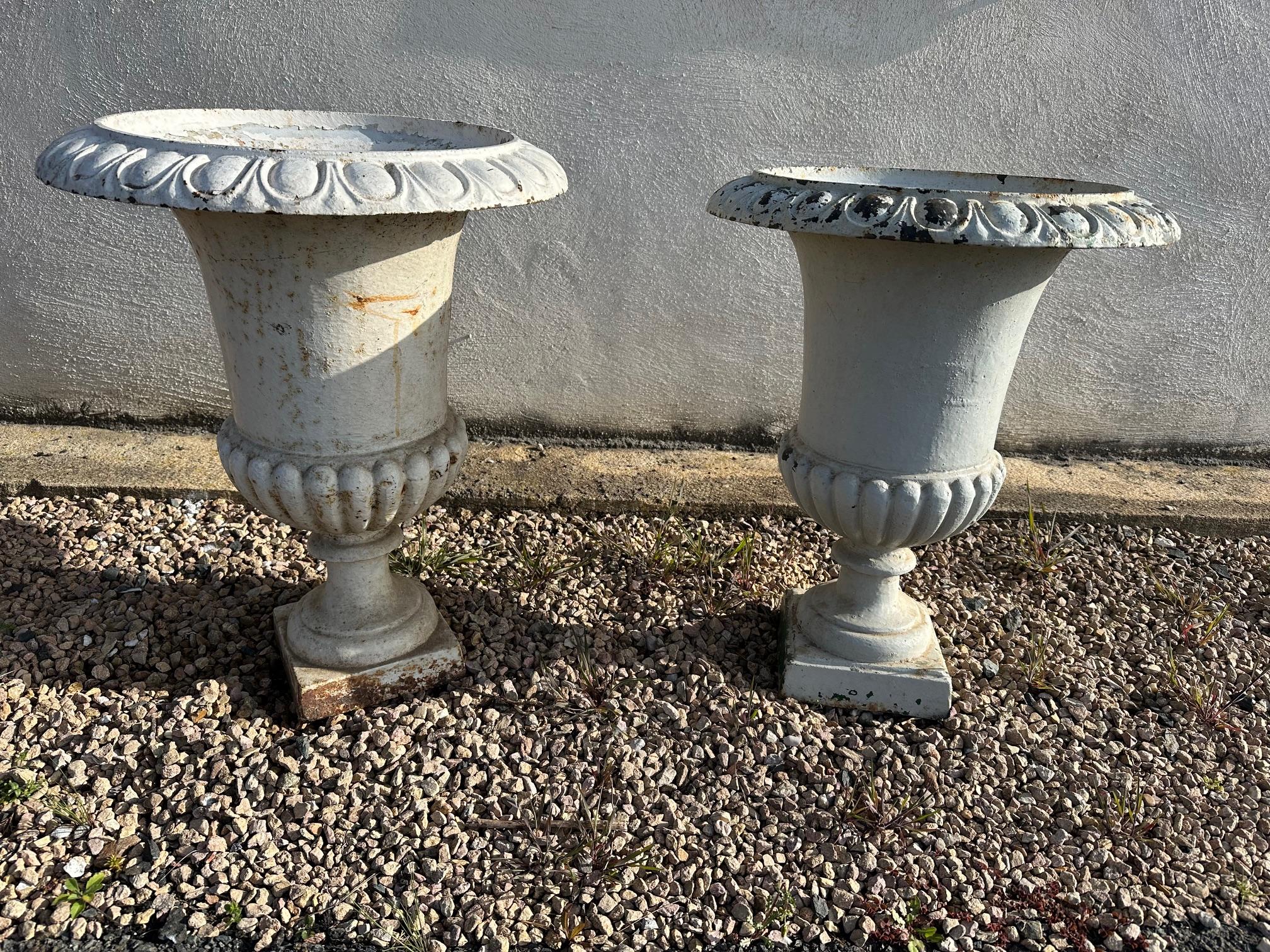 20th Century Early 20th century French Cast Iron Medicis Planters, 1900s For Sale