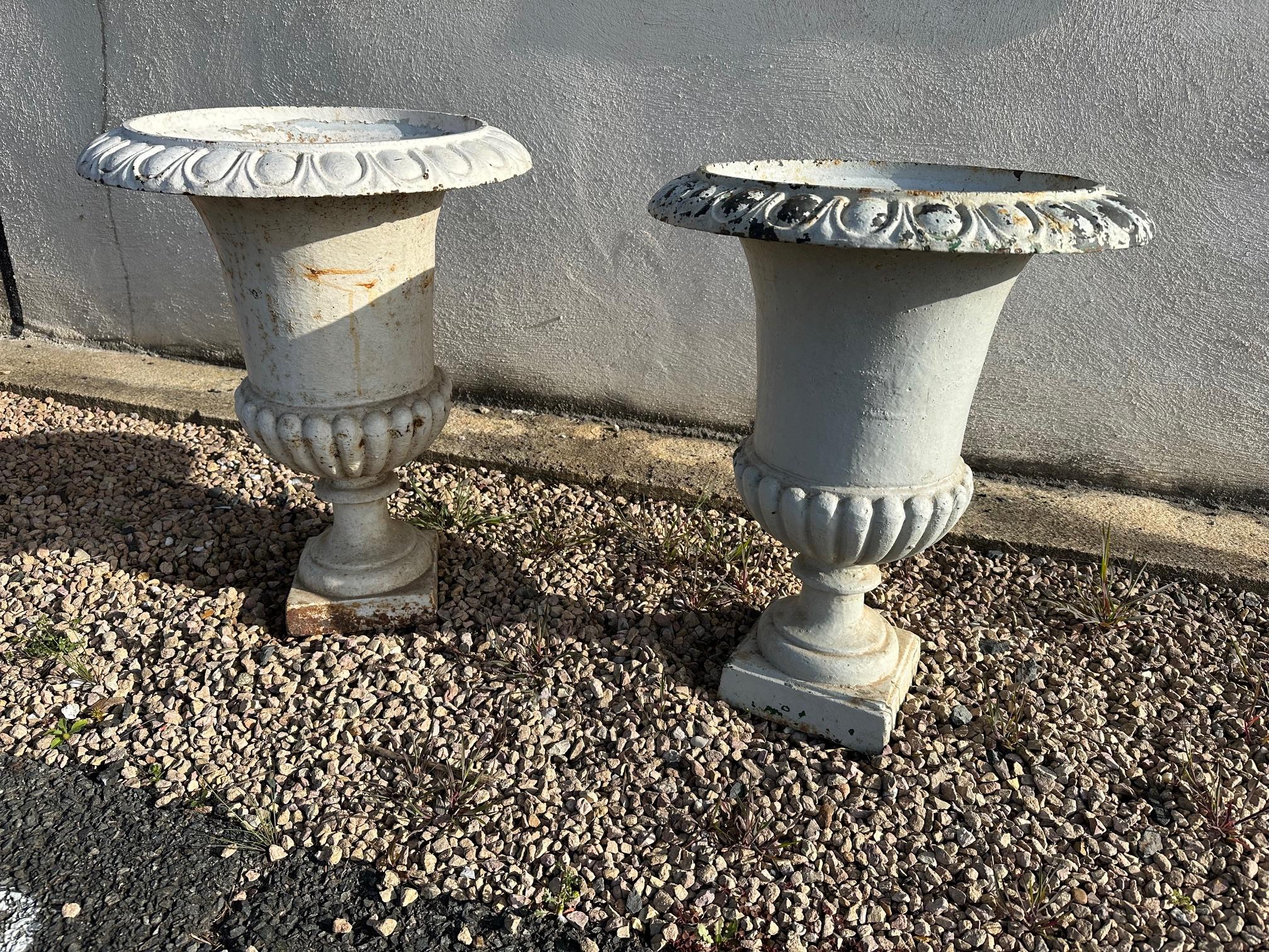 Early 20th century French Cast Iron Medicis Planters, 1900s For Sale 3