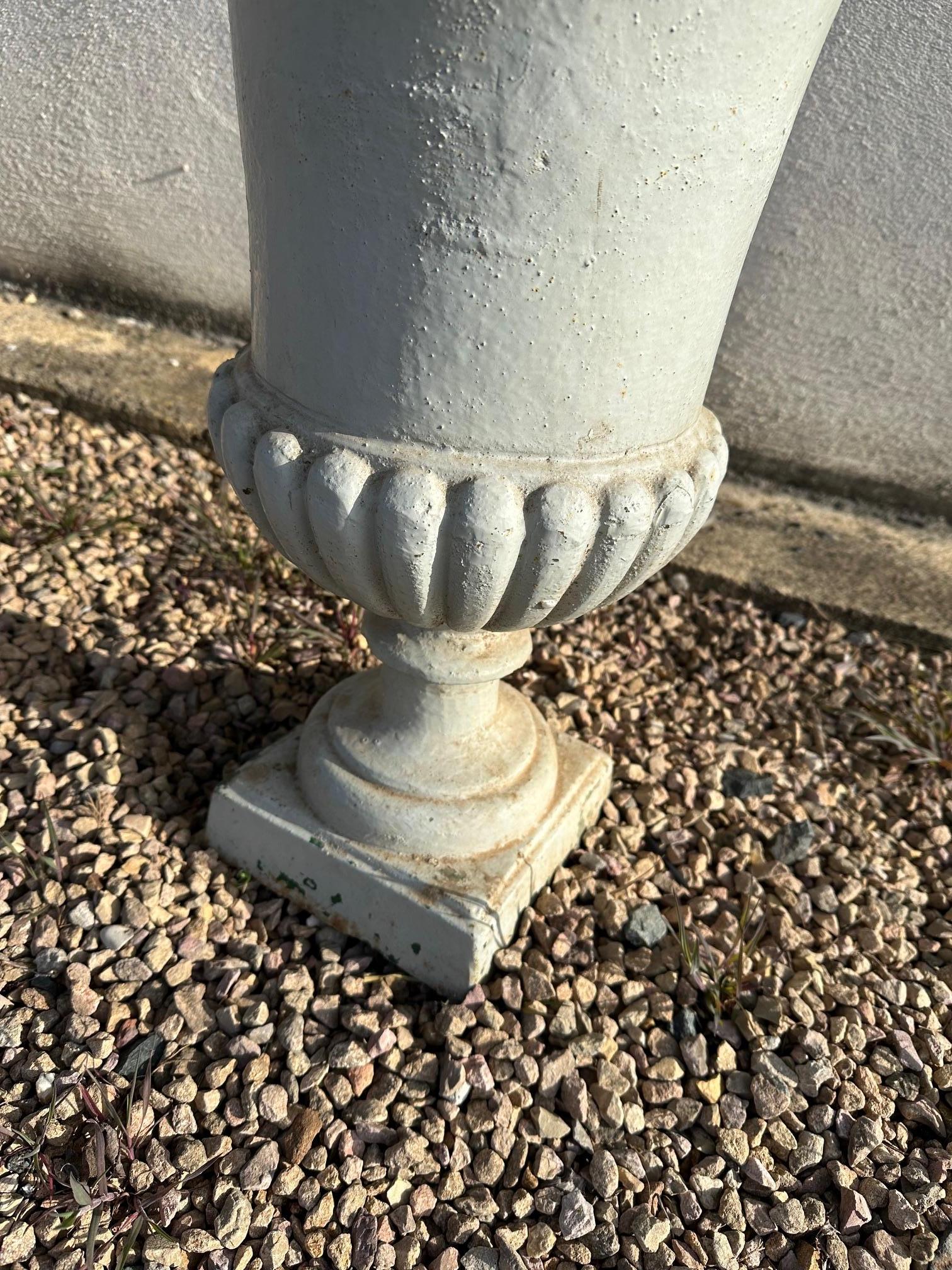 Early 20th century French Cast Iron Medicis Planters, 1900s For Sale 4