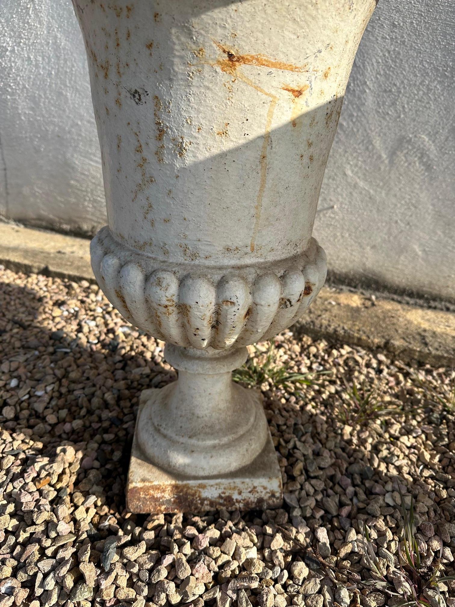 Early 20th century French Cast Iron Medicis Planters, 1900s For Sale 5