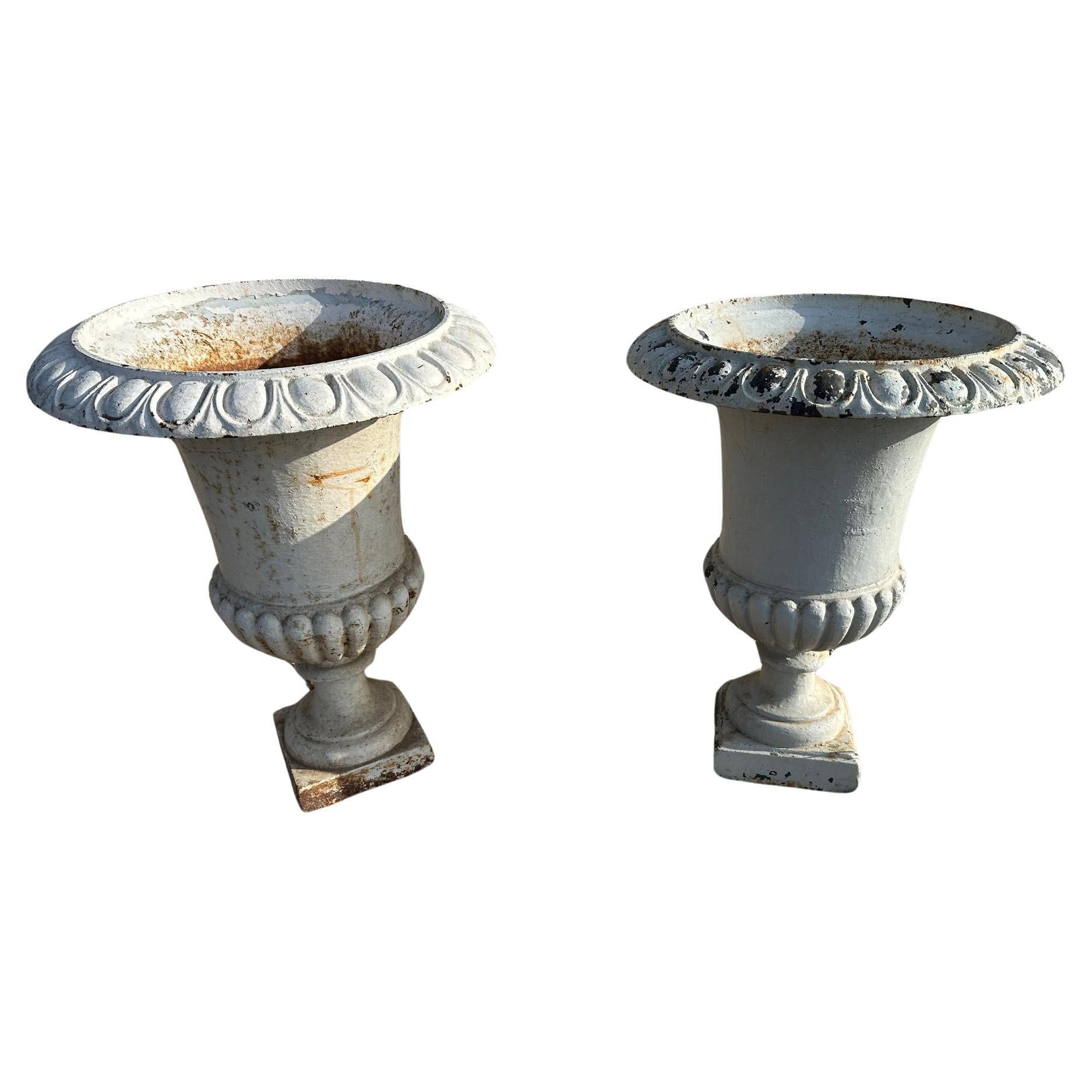 Early 20th century French Cast Iron Medicis Planters, 1900s
