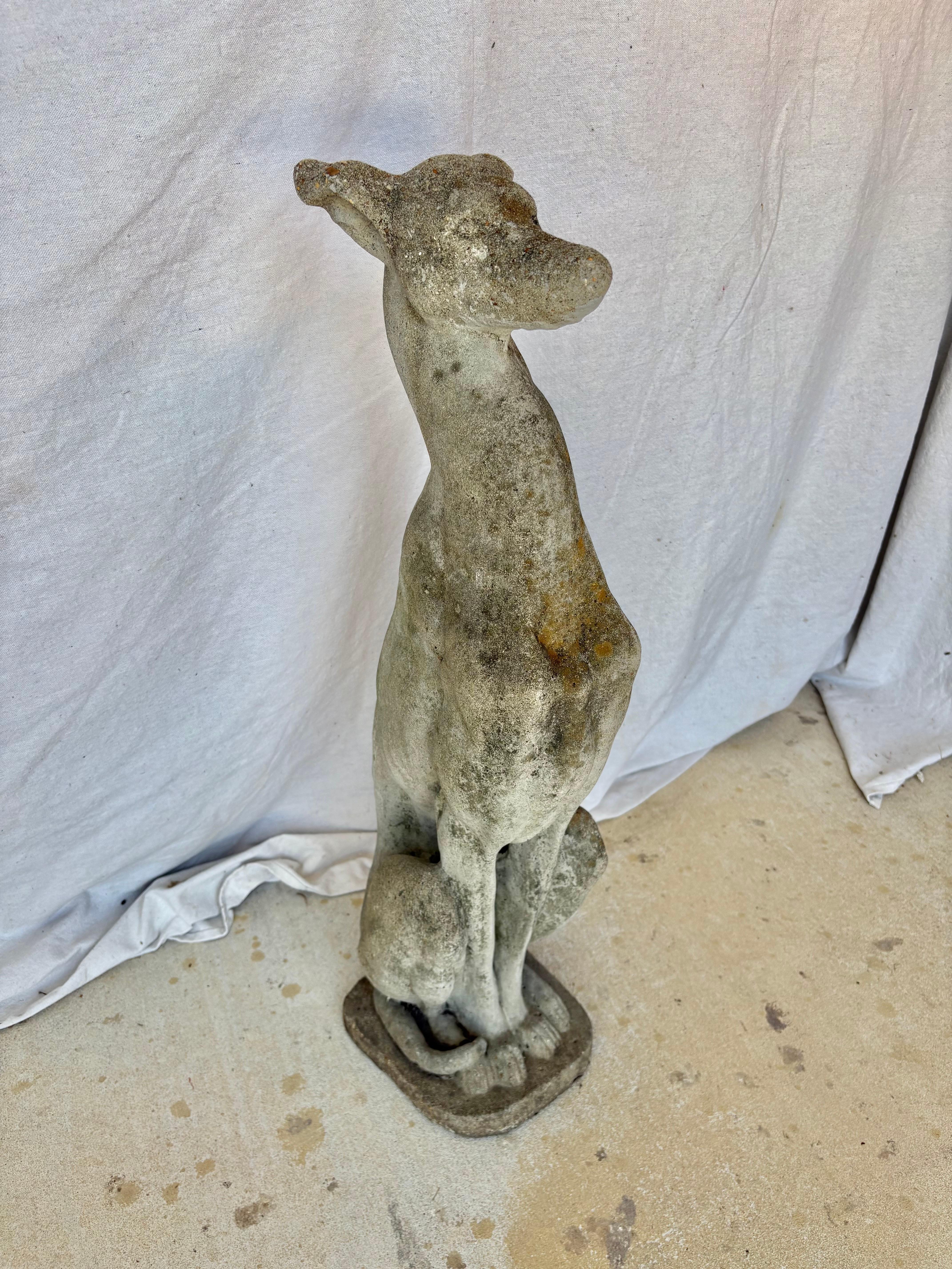 Francese Scultura da giardino in cemento francese dei primi del Novecento: cane Whippet Greyhound in vendita