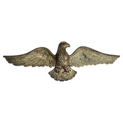 Amerikanischer Adler des frühen 20. Jahrhunderts mit ausgebreiteten Flügeln