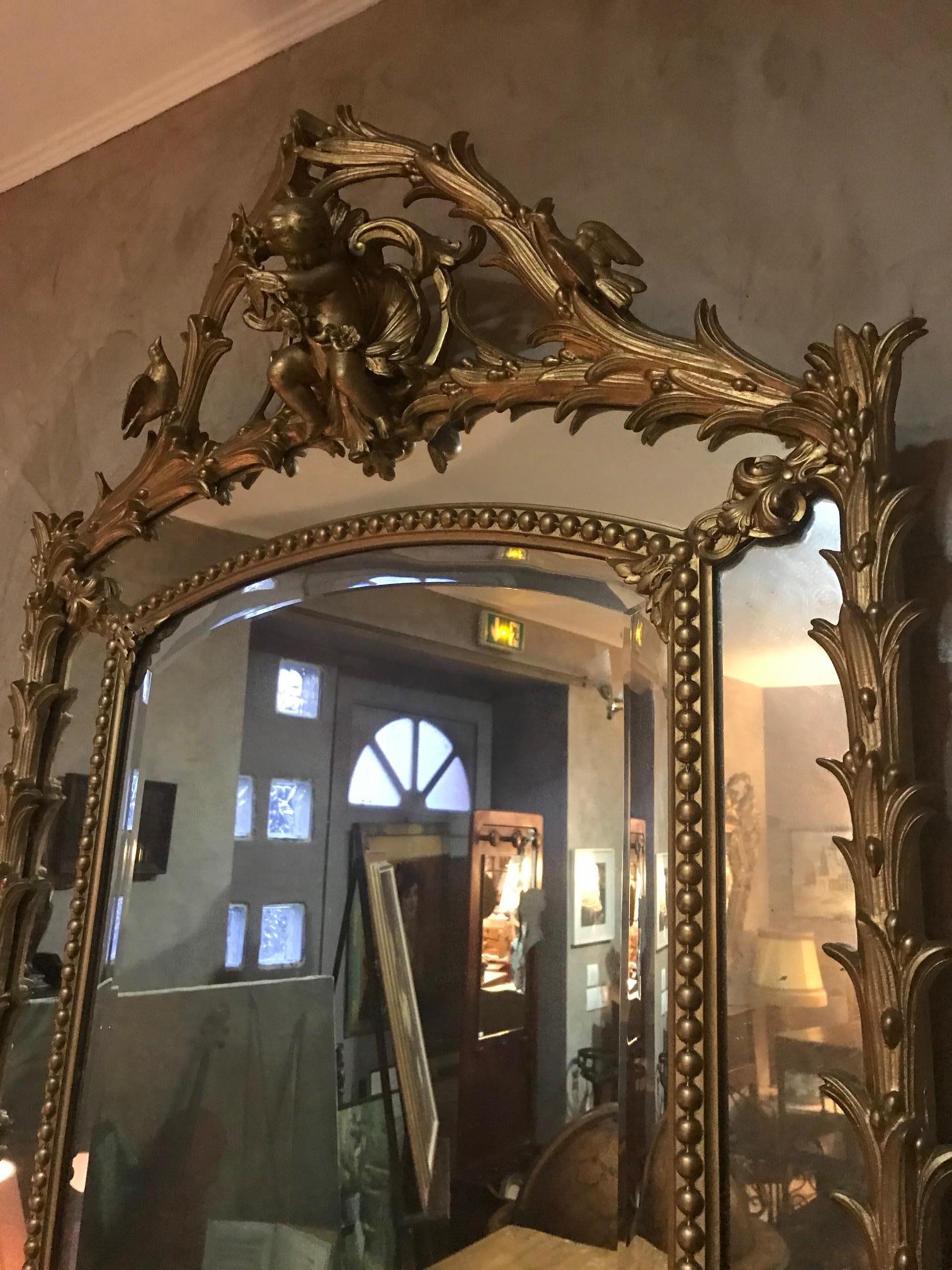 Early 20th Century French Golden Wood Louis XV Mirror 6