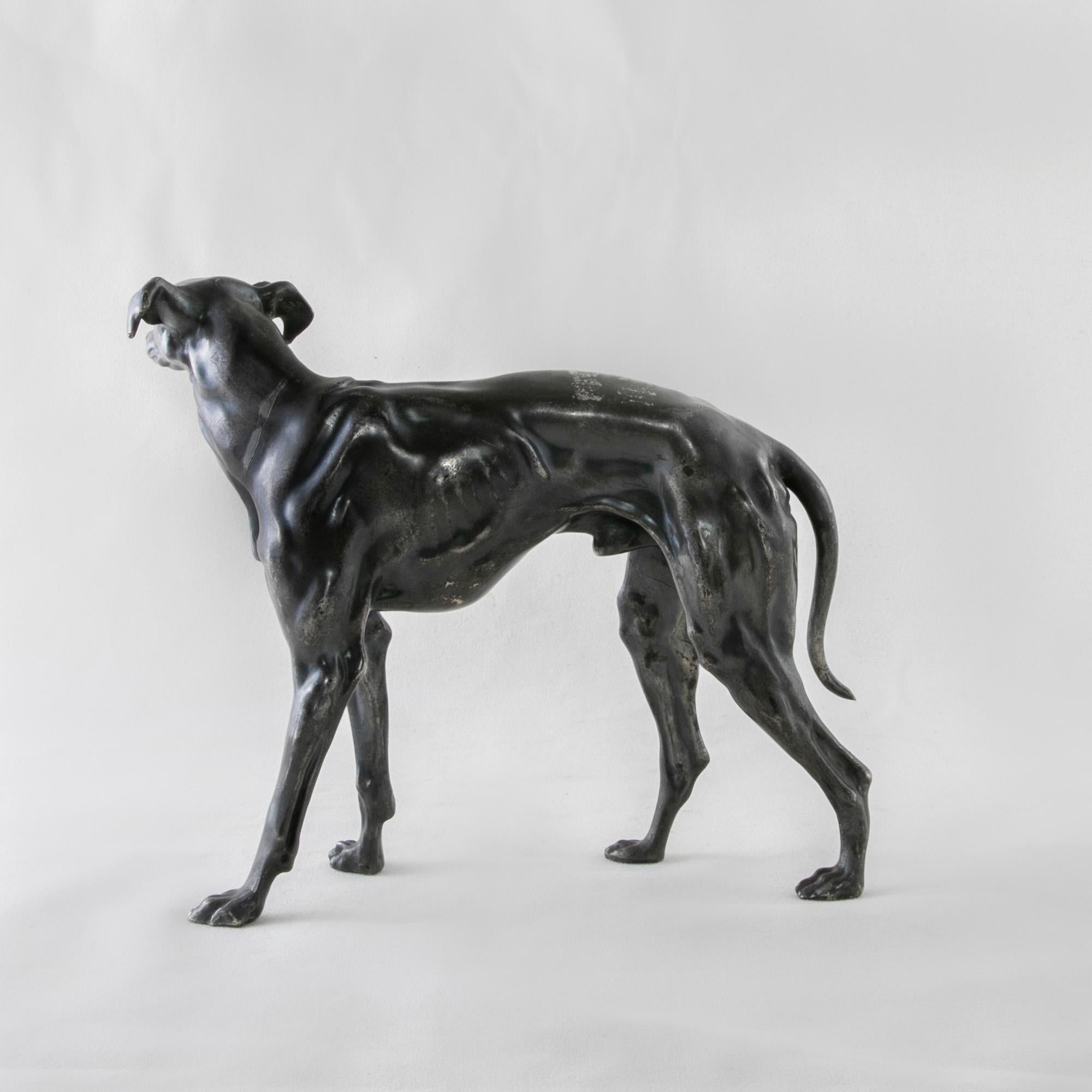 Chrome Early 20th Century French Greyhound Sculpture with Original Silver Patina