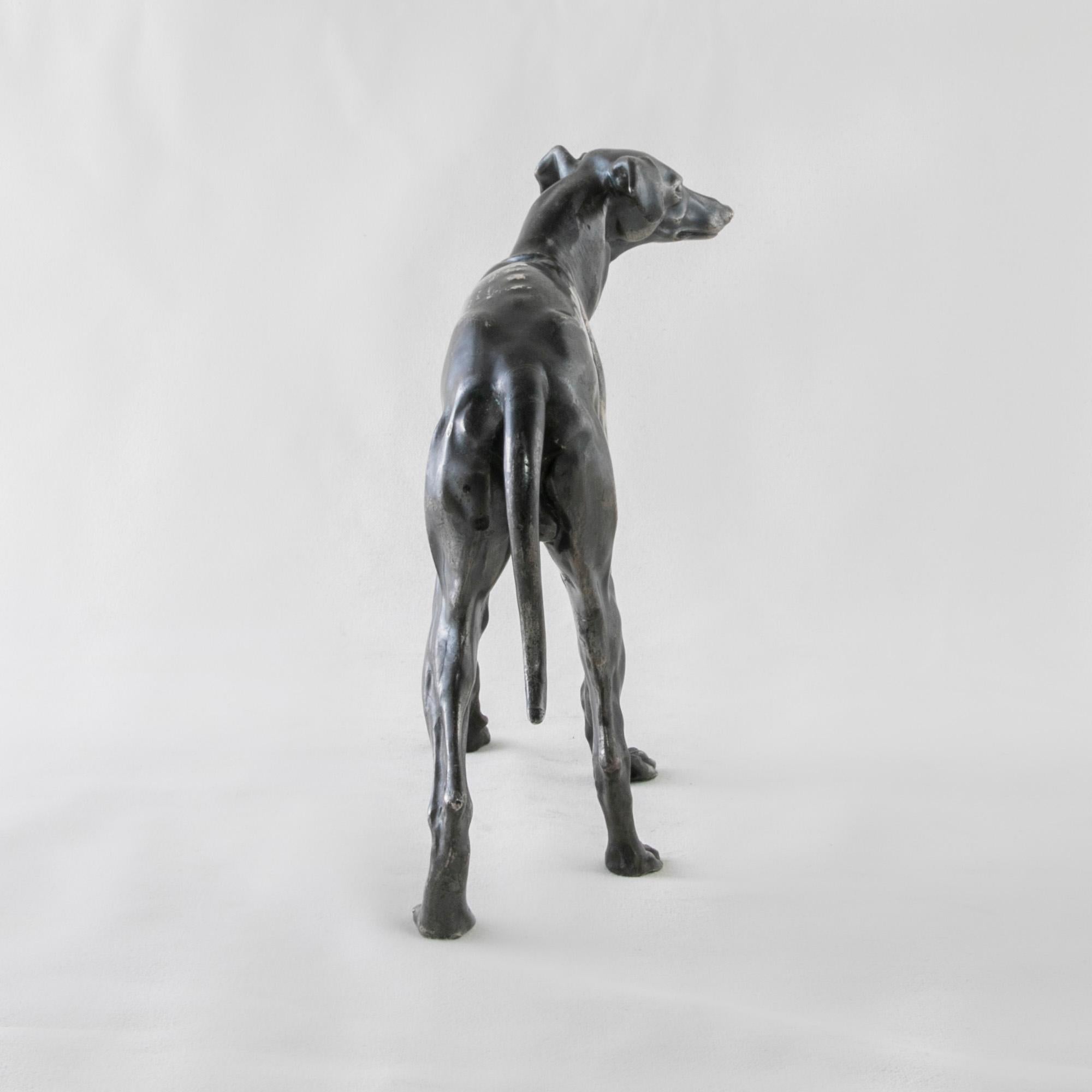 Early 20th Century French Greyhound Sculpture with Original Silver Patina 1