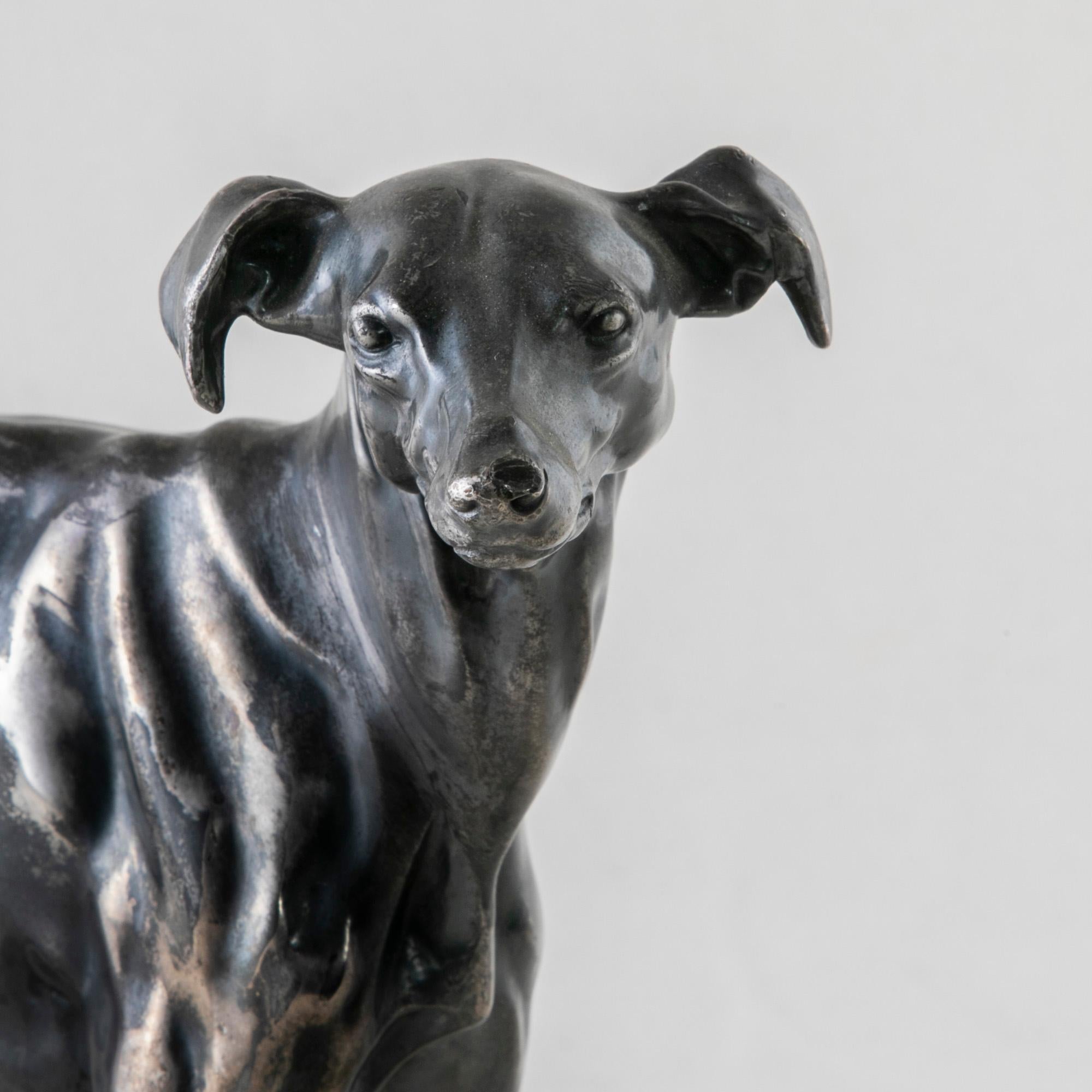 Early 20th Century French Greyhound Sculpture with Original Silver Patina 2