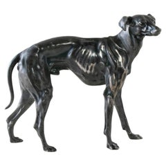 Early 20th Century French Greyhound Sculpture with Original Silver Patina