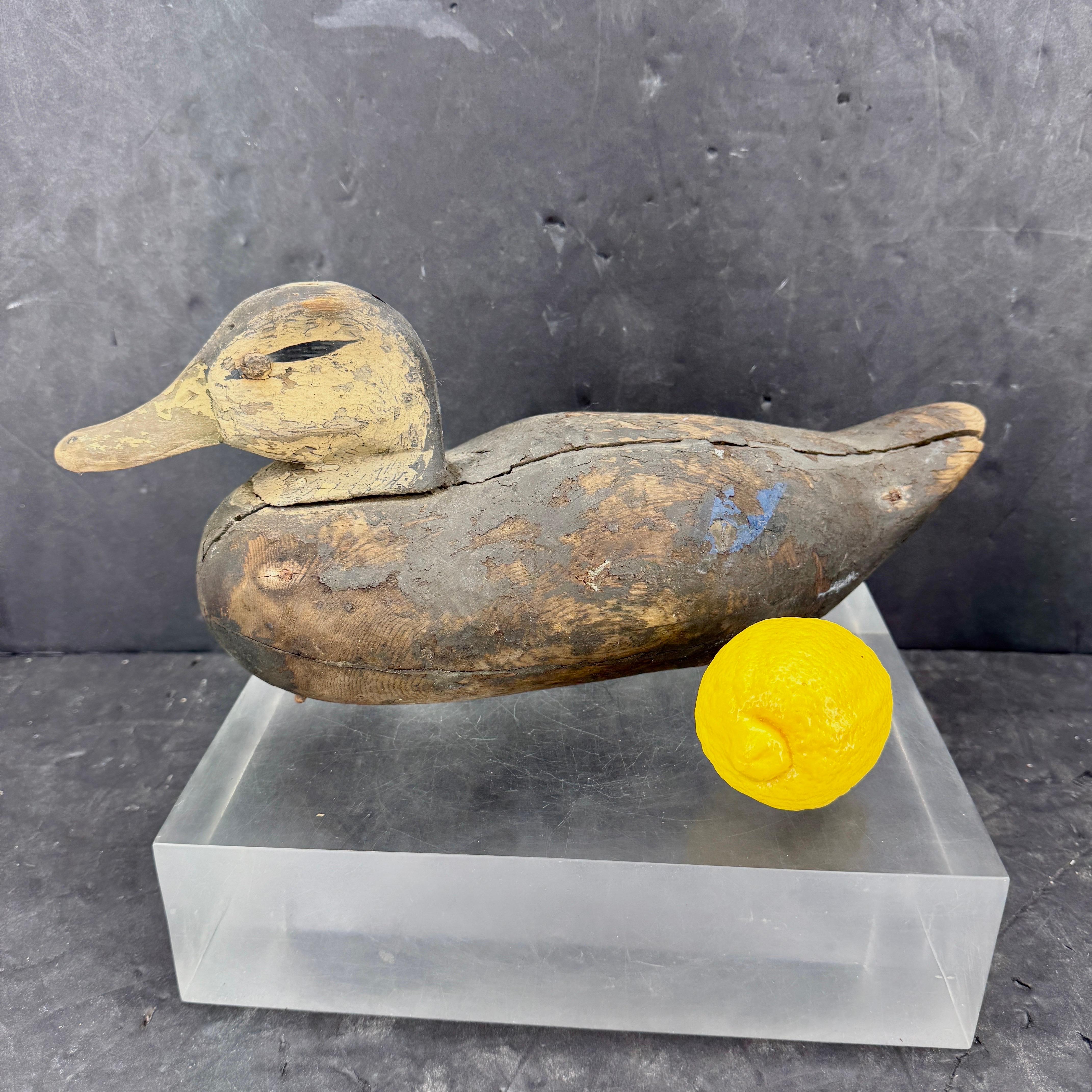 Appelant de canard d'art populaire du d�ébut du 20e siècle, sculpté à la main. Le canard présente une magnifique patine, y compris au niveau de la peinture. Merveilleuse pièce de collection à ajouter à un ensemble. 
