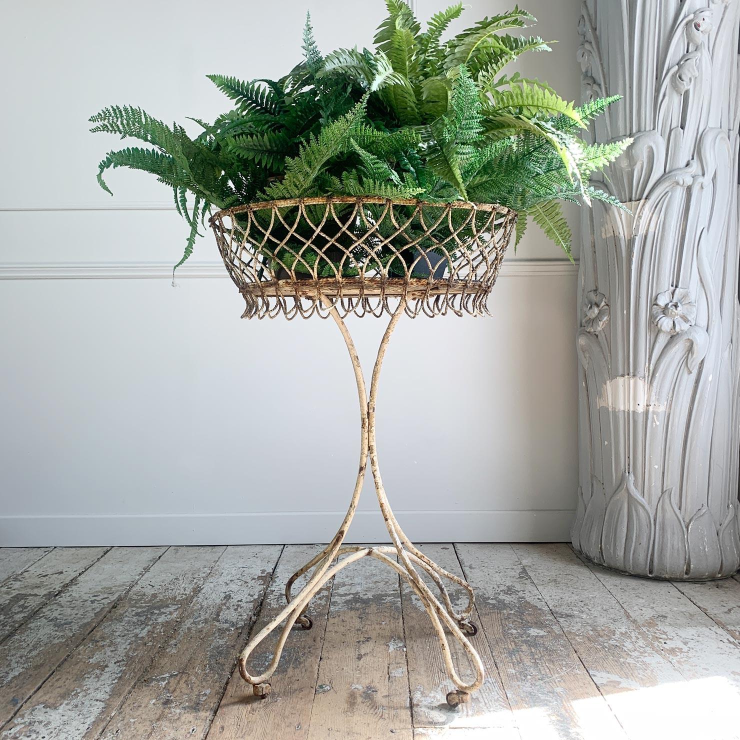 A very pretty French wirework and wrought iron plant stand, with wooden base and brass castors

Circa 1920-1930. Lovely old paint patina to the legs and age related wear to the wirework twists.

Measures: Height 88cm x Depth 45cm

Basket 59cm