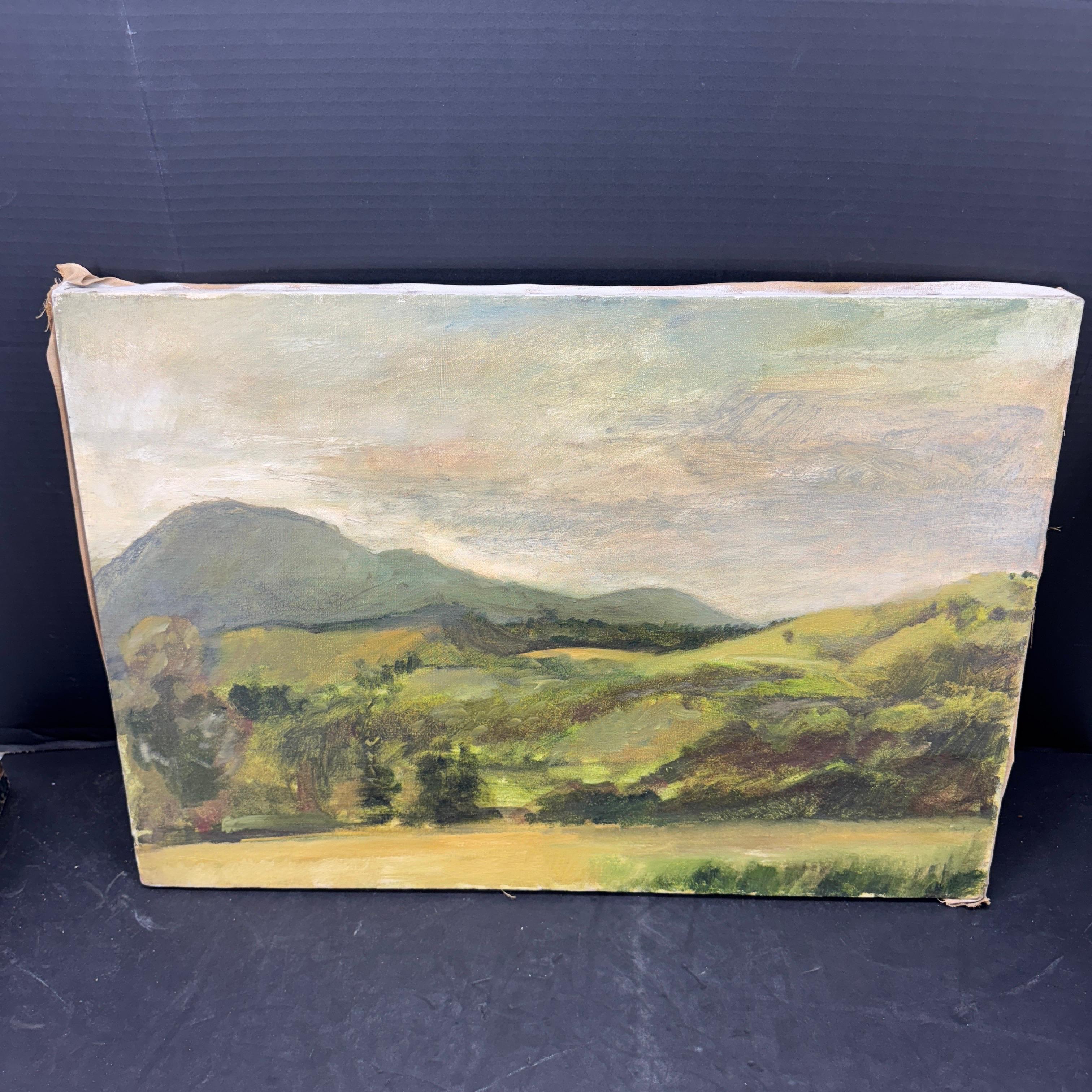 This is very serene landscape of a field of lush greenery which has been painted in oil. There are mountains in the background with soothing clouds above. A simple and relaxed scene yet very effective in composition. Sweeping brushstrokes imbue the