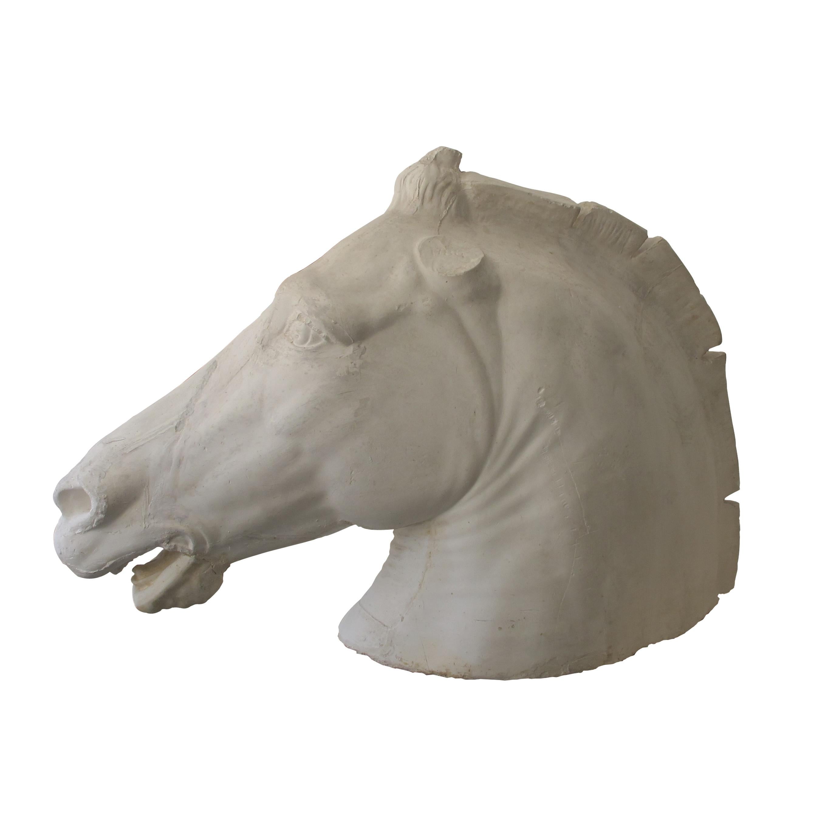 Arts and Crafts Early 20th Century French Life-Size Plaster Horse Head Inspired by The Parthenon