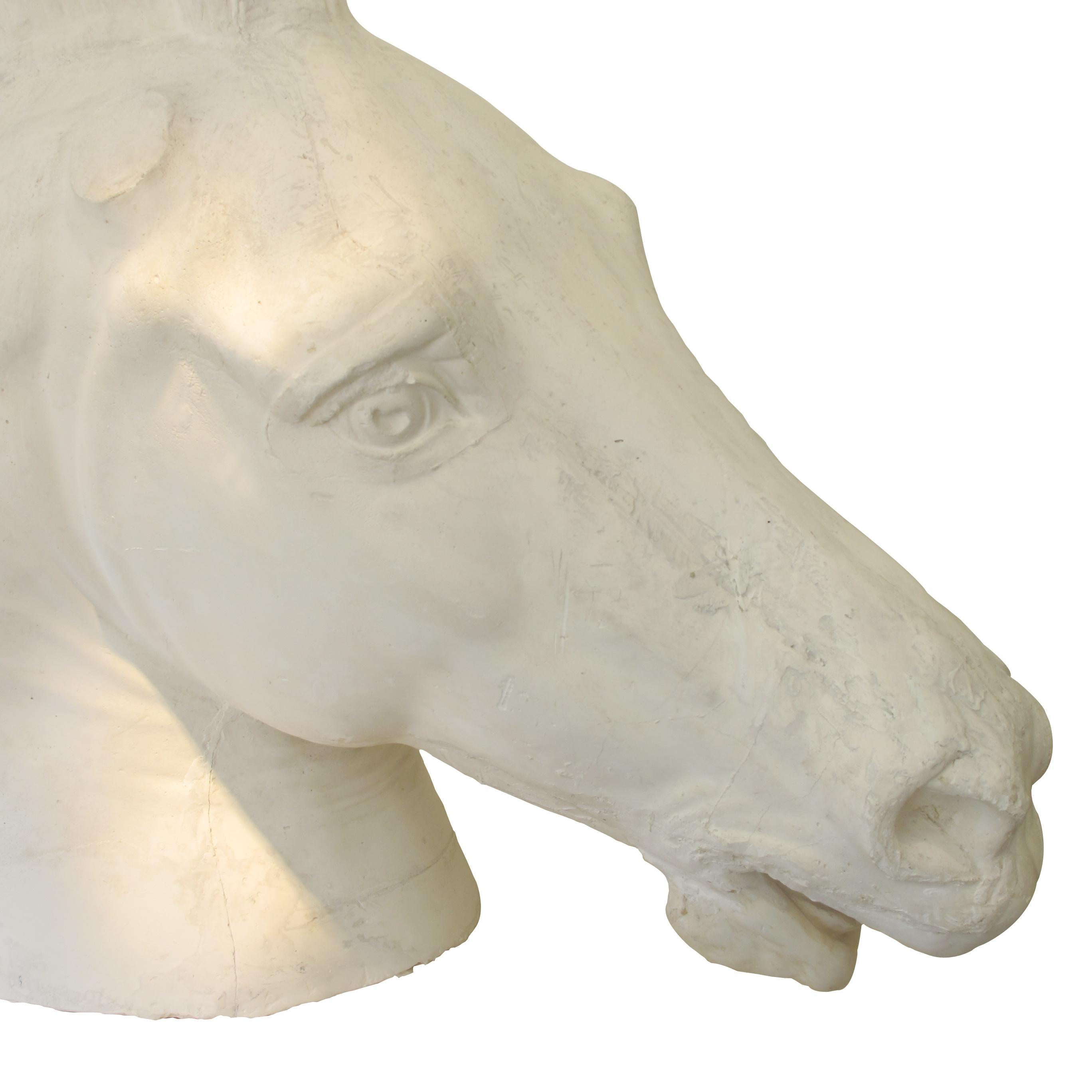 Hand-Crafted Early 20th Century French Life-Size Plaster Horse Head Inspired by The Parthenon