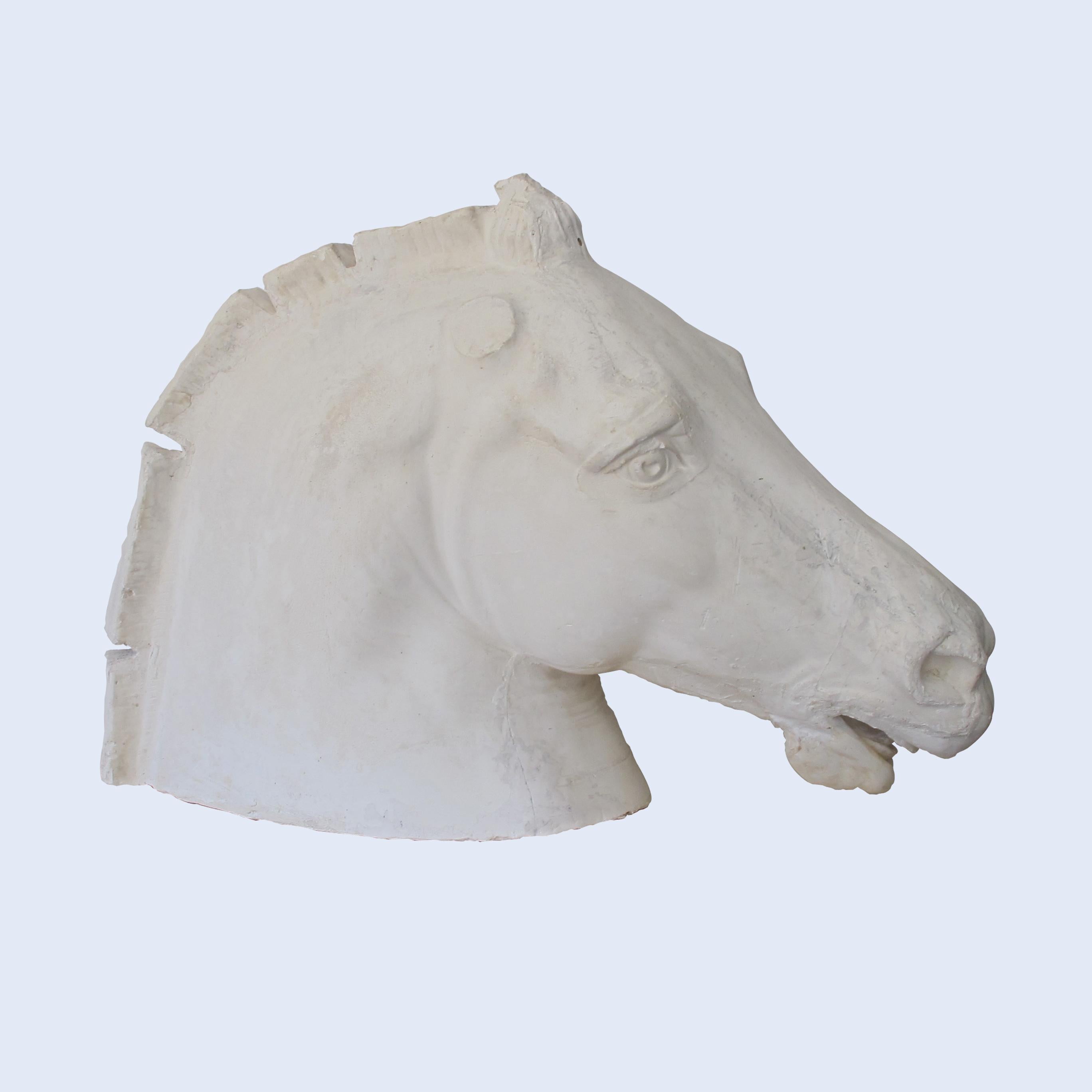 Early 20th Century French Life-Size Plaster Horse Head Inspired by The Parthenon 1