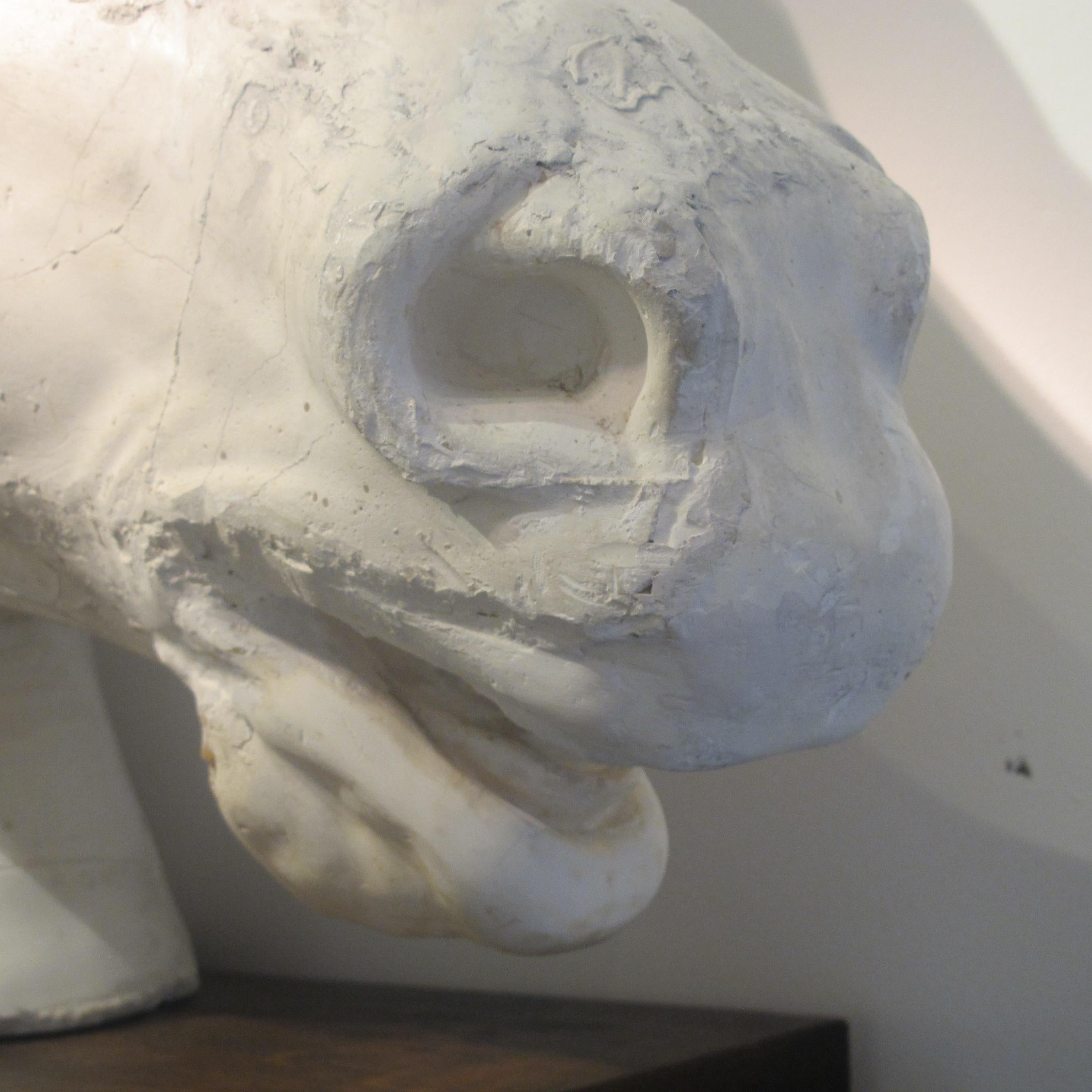 Early 20th Century French Life-Size Plaster Horse Head Inspired by The Parthenon 2