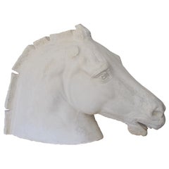 Early 20th Century French Life-Size Plaster Horse Head Inspired by The Parthenon