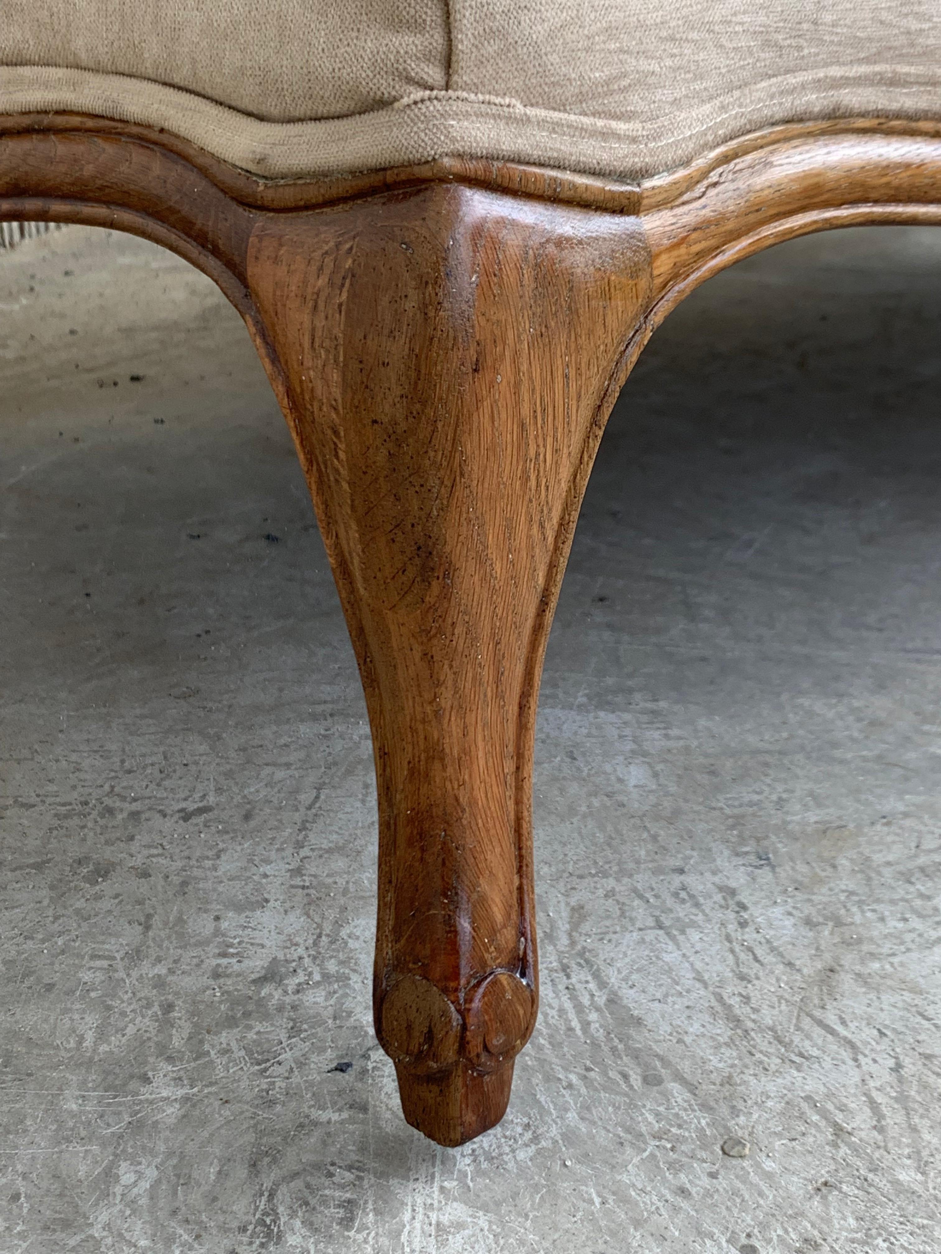 Early 20th Century French Louis XV Carved Walnut Chase Longue with Cane Back 12
