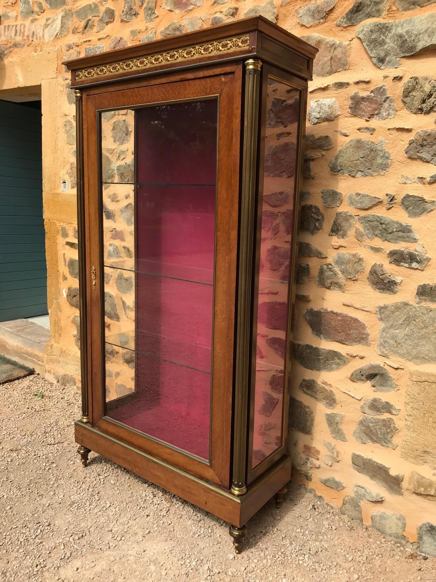 Early 20th Century French Mahogany and Brass Directoire Style Vitrine In Good Condition In LEGNY, FR