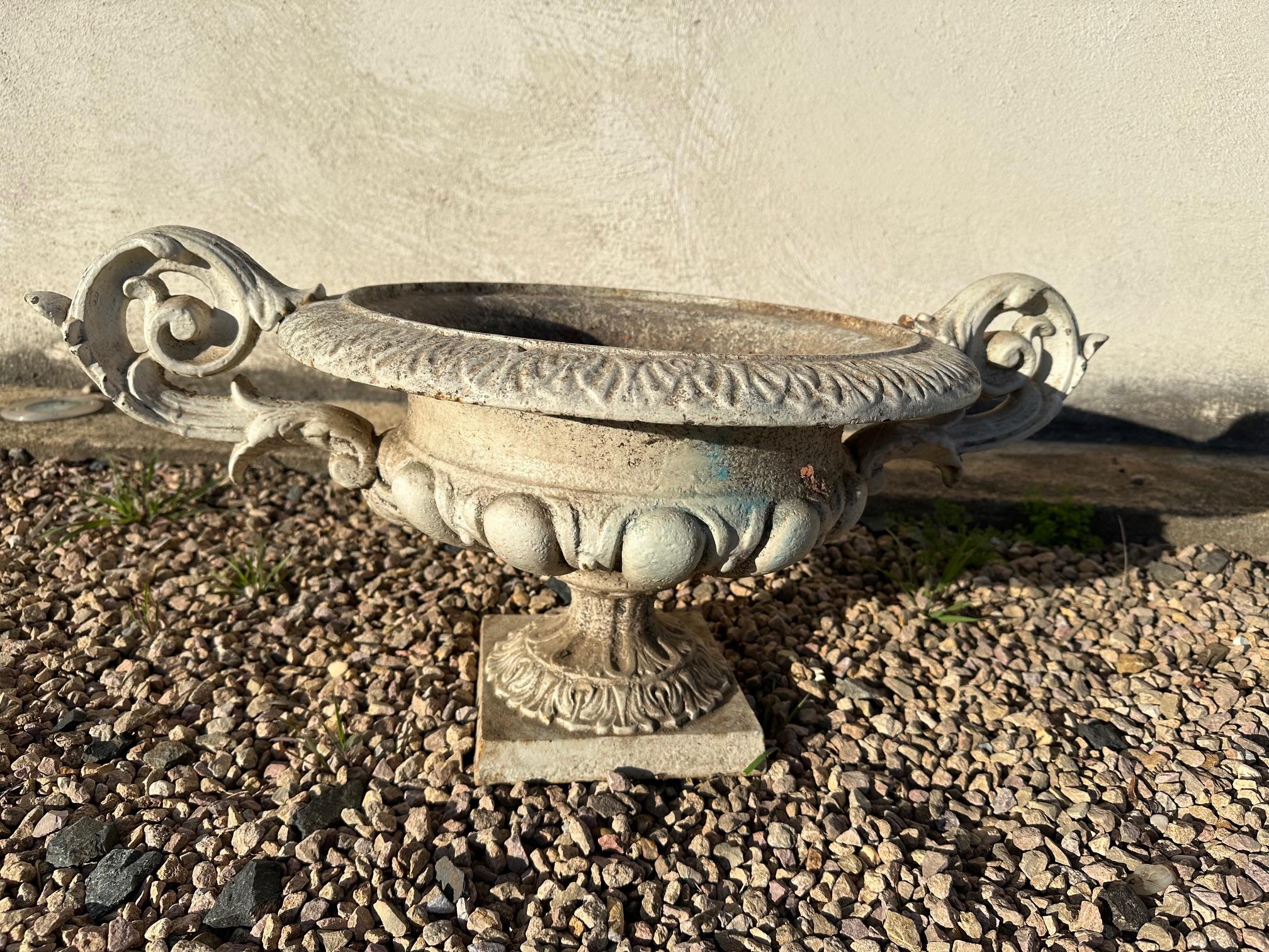 Early 20th century French Medicis or cast iron planter dating from the 1900s in good condition.
Two large handles. Ideal in a garden.