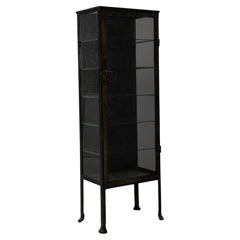Vitrine en métal française du début du 20e siècle