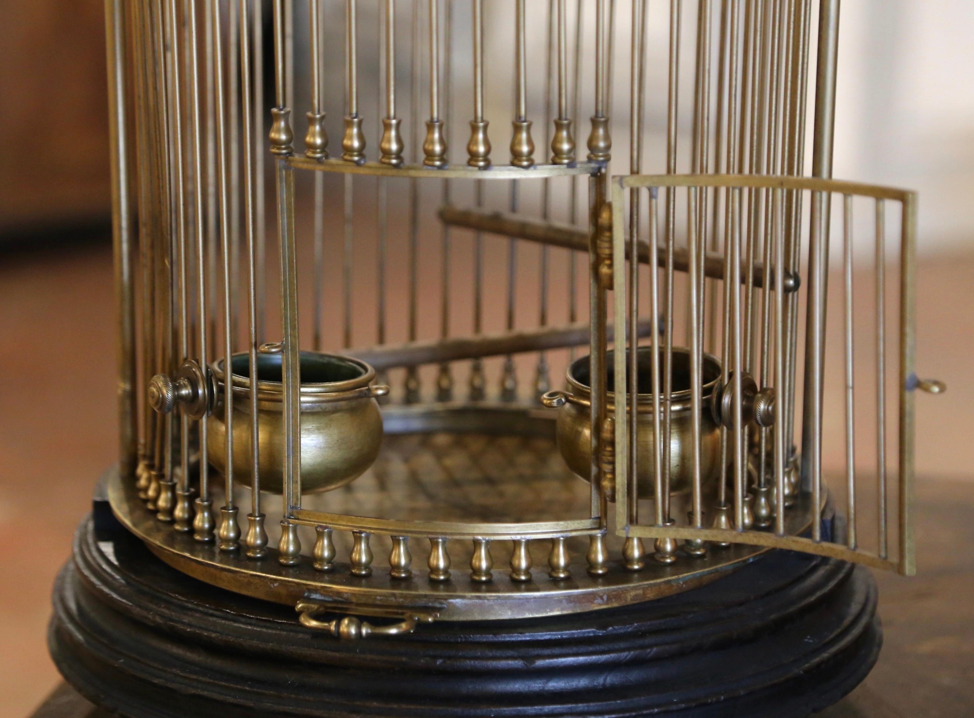 Early 20th Century French Napoleon III Brass Wire Birdcage with Removable Tray In Excellent Condition For Sale In Dallas, TX