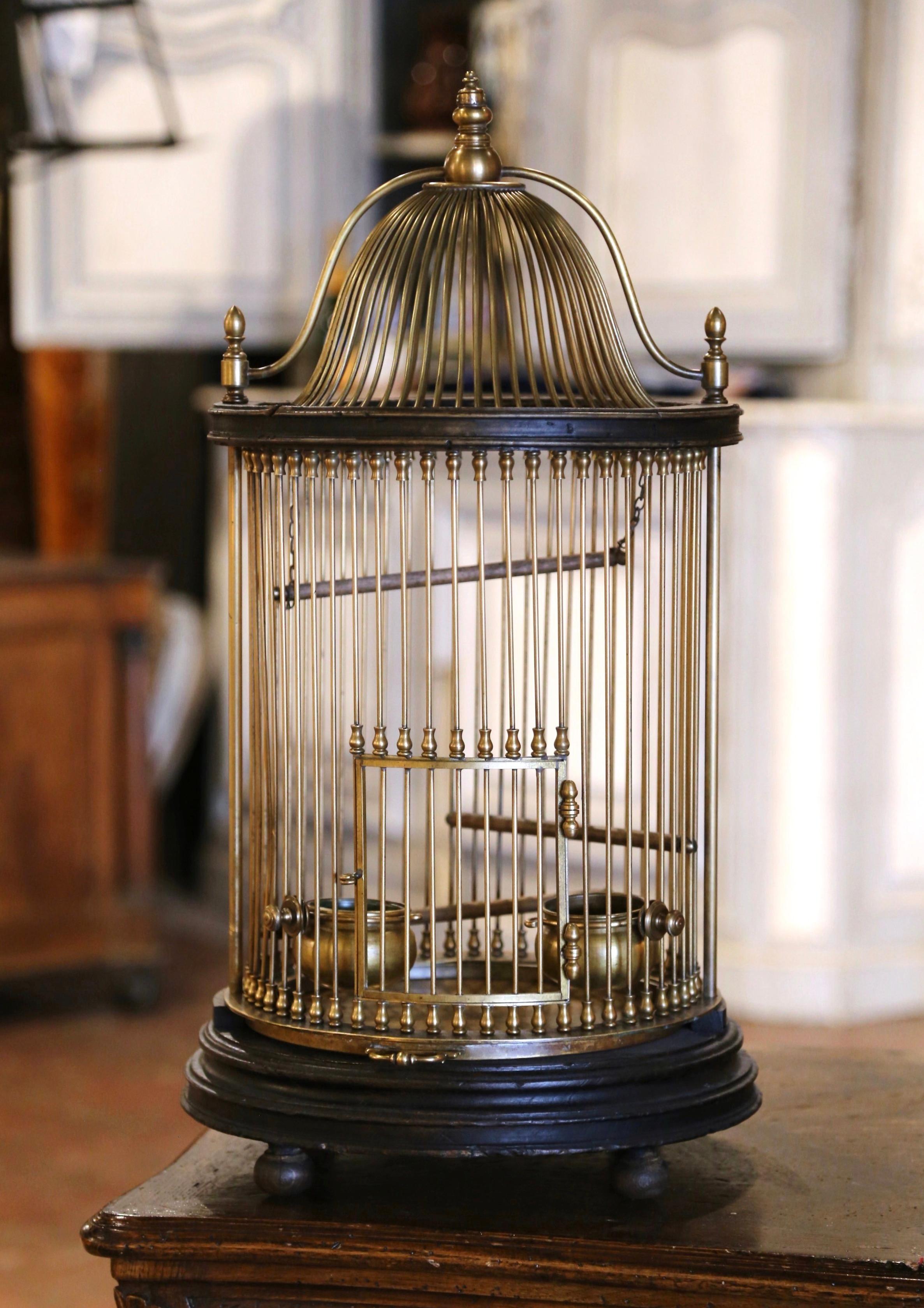 Early 20th Century French Napoleon III Brass Wire Birdcage with Removable Tray For Sale 1