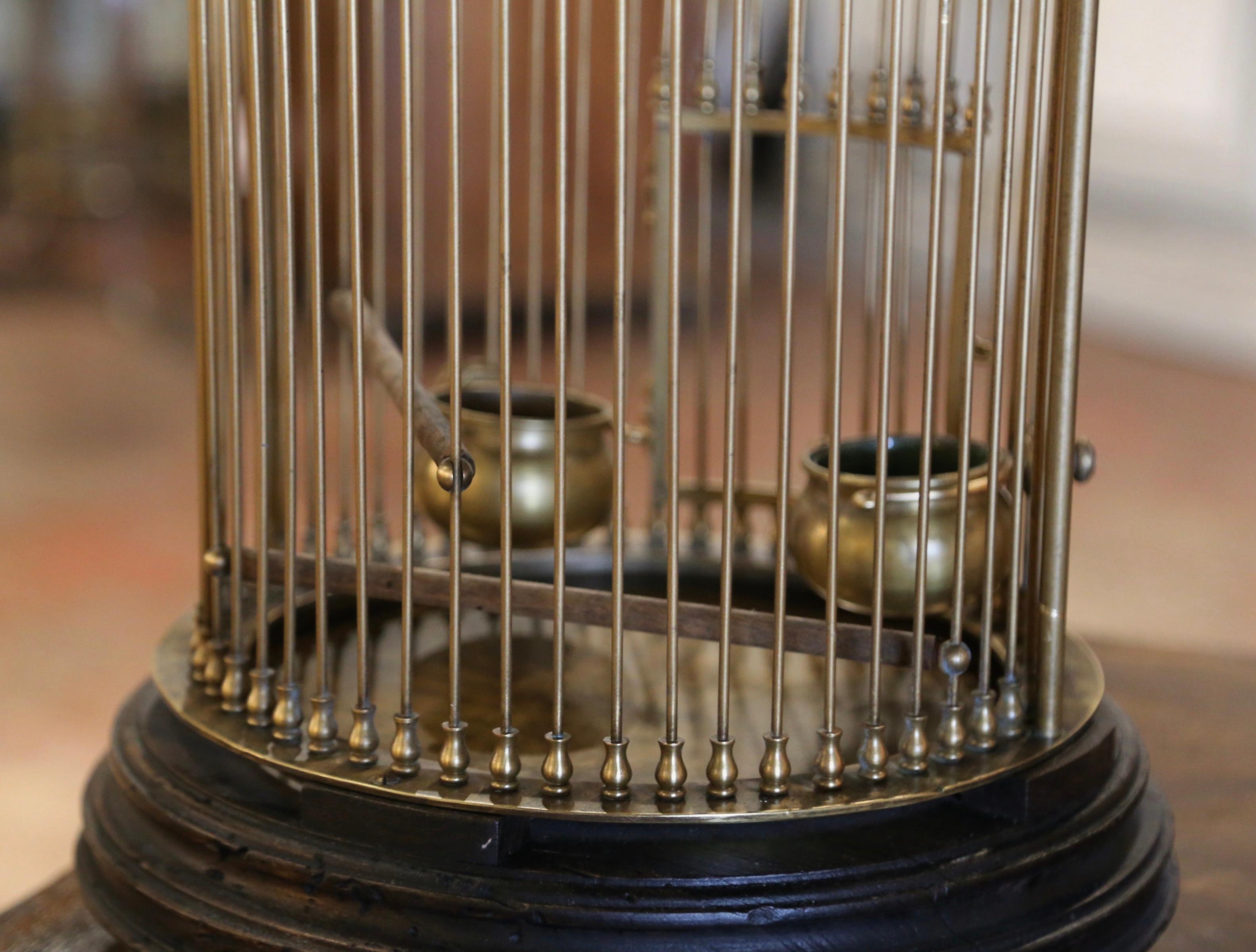Early 20th Century French Napoleon III Brass Wire Birdcage with Removable Tray For Sale 4