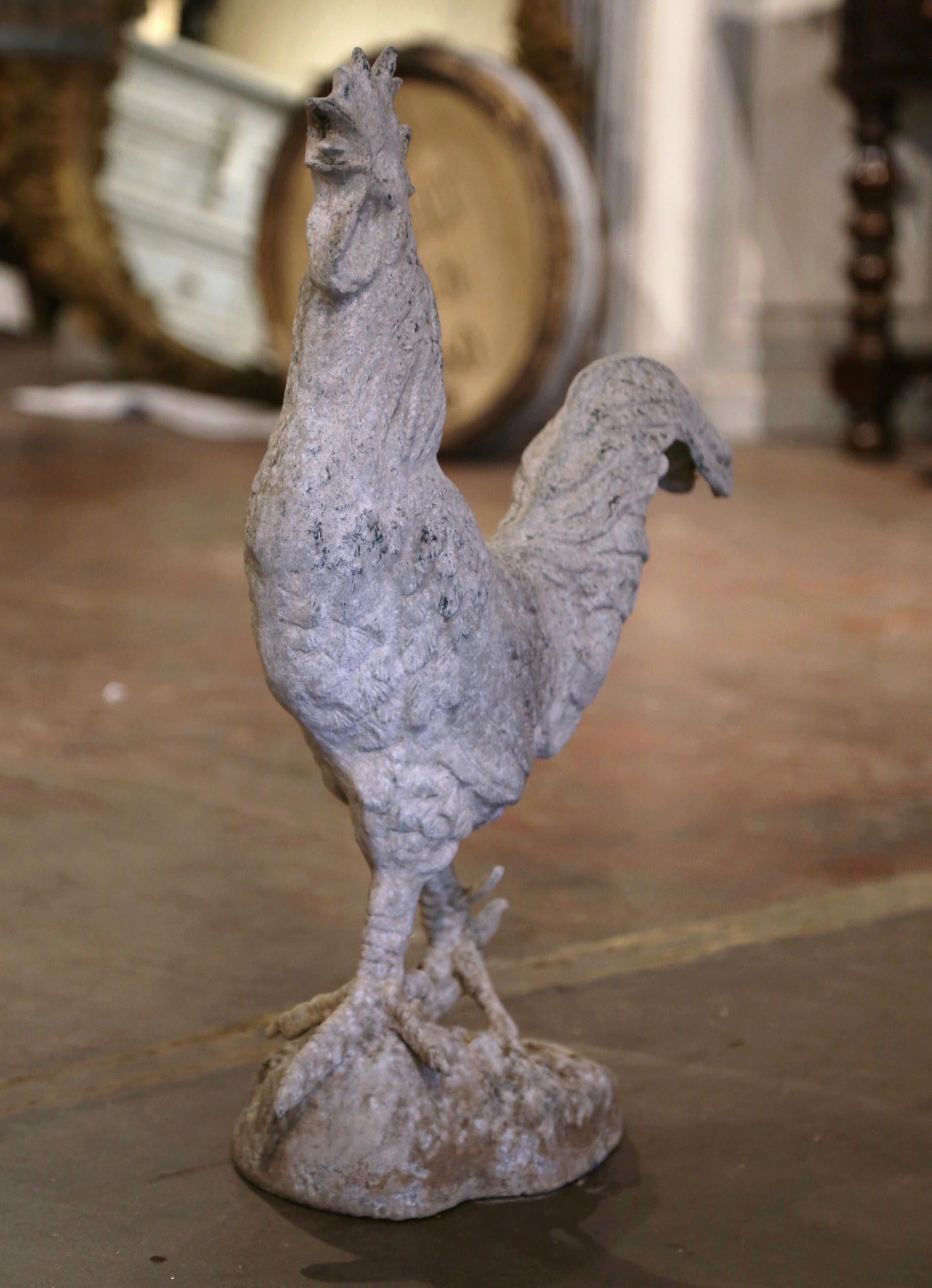 Decorate a patio or garden with this elegant antique French rooster. Crafted in France circa 1920 and made of metal, the sculpture depicts a proud crowing chanticleer rising on a molded base filled with concrete; wonderful details including the