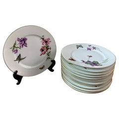 Early 20th century French set of 12 Limoges Porcelain Desert Plates, 1920s