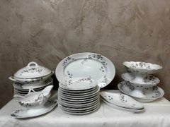 Early 20th century French Set of Limoges Porcelain Plates, 1900s