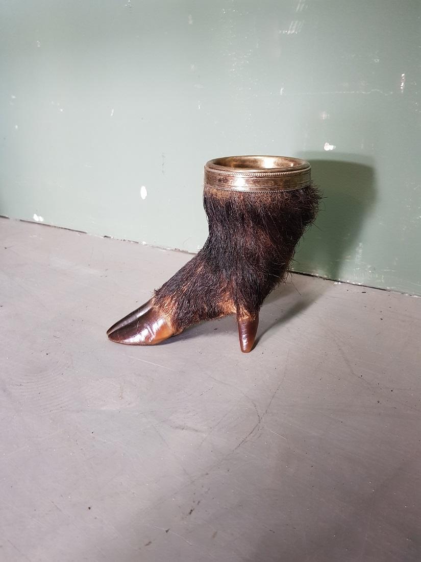 Hand-Crafted Early 20th Century French Taxidermy of a Wild Pig Leg with Cup Holder For Sale
