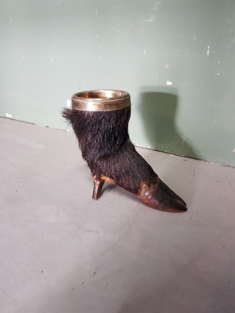 Animal Skin Early 20th Century French Taxidermy of a Wild Pig Leg with Cup Holder For Sale
