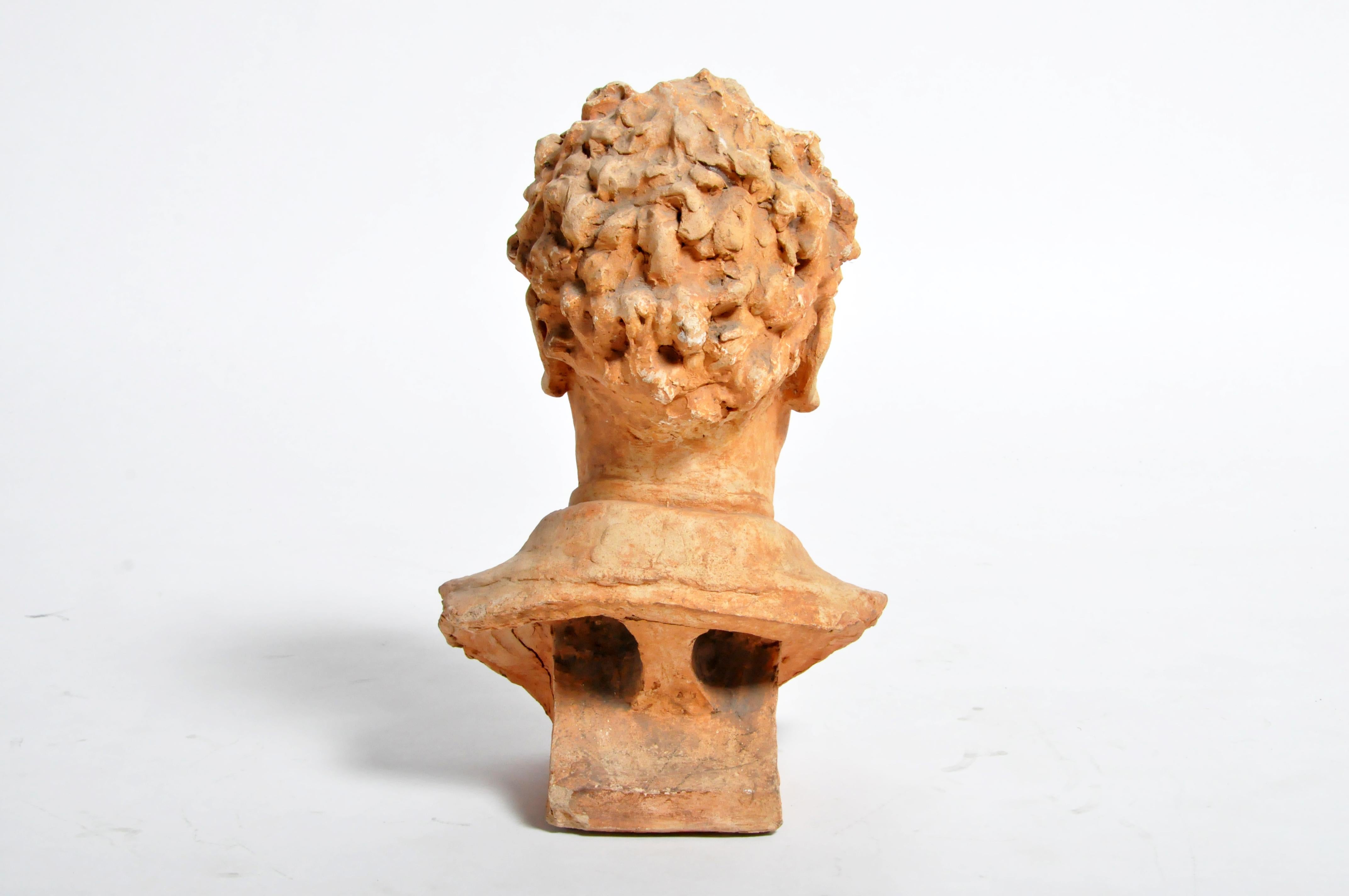 Early 20th Century French Terracotta Bust of a Gentleman 2