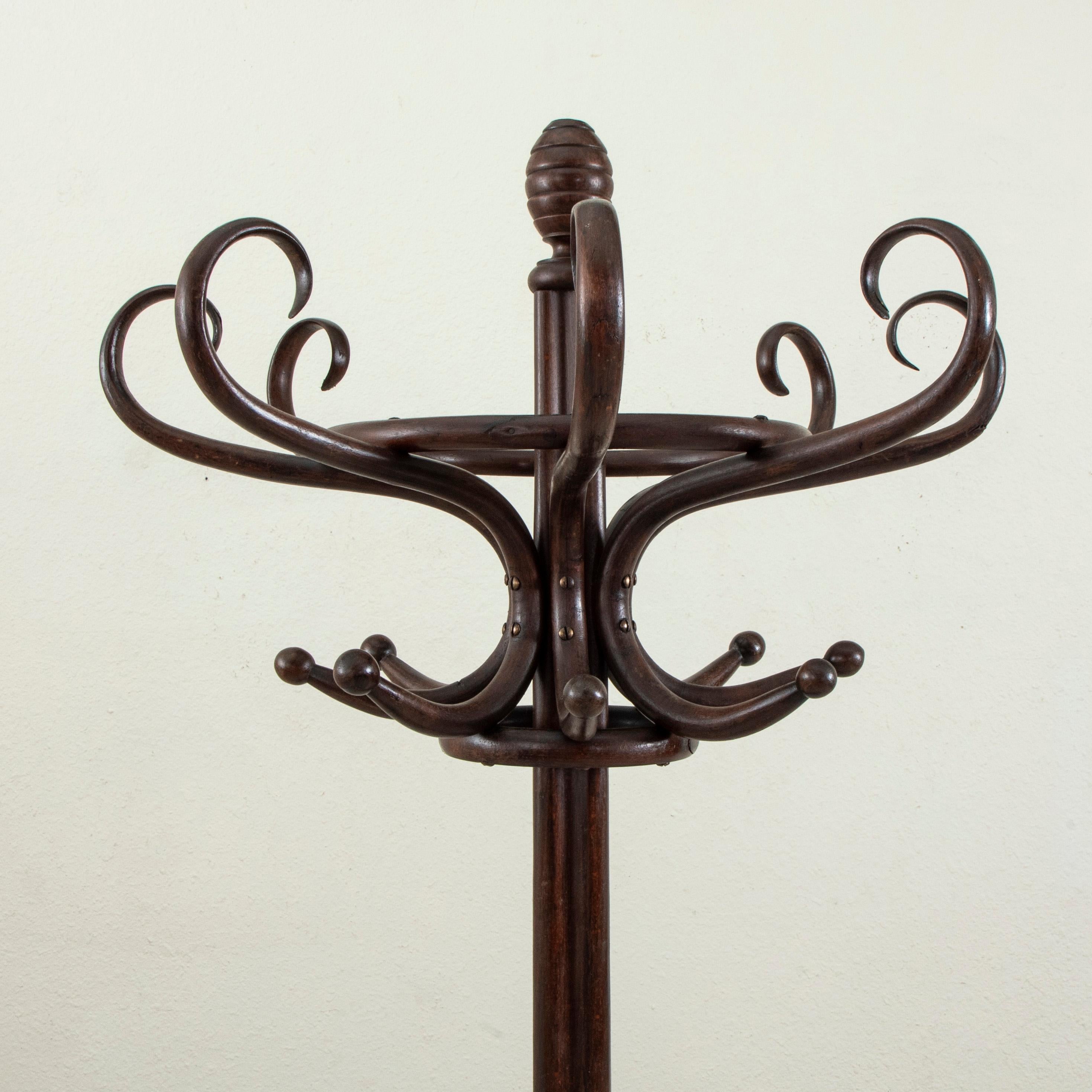 XX secolo Albero da ingresso o appendiabiti in legno curvato in stile Thonet francese dei primi del Novecento