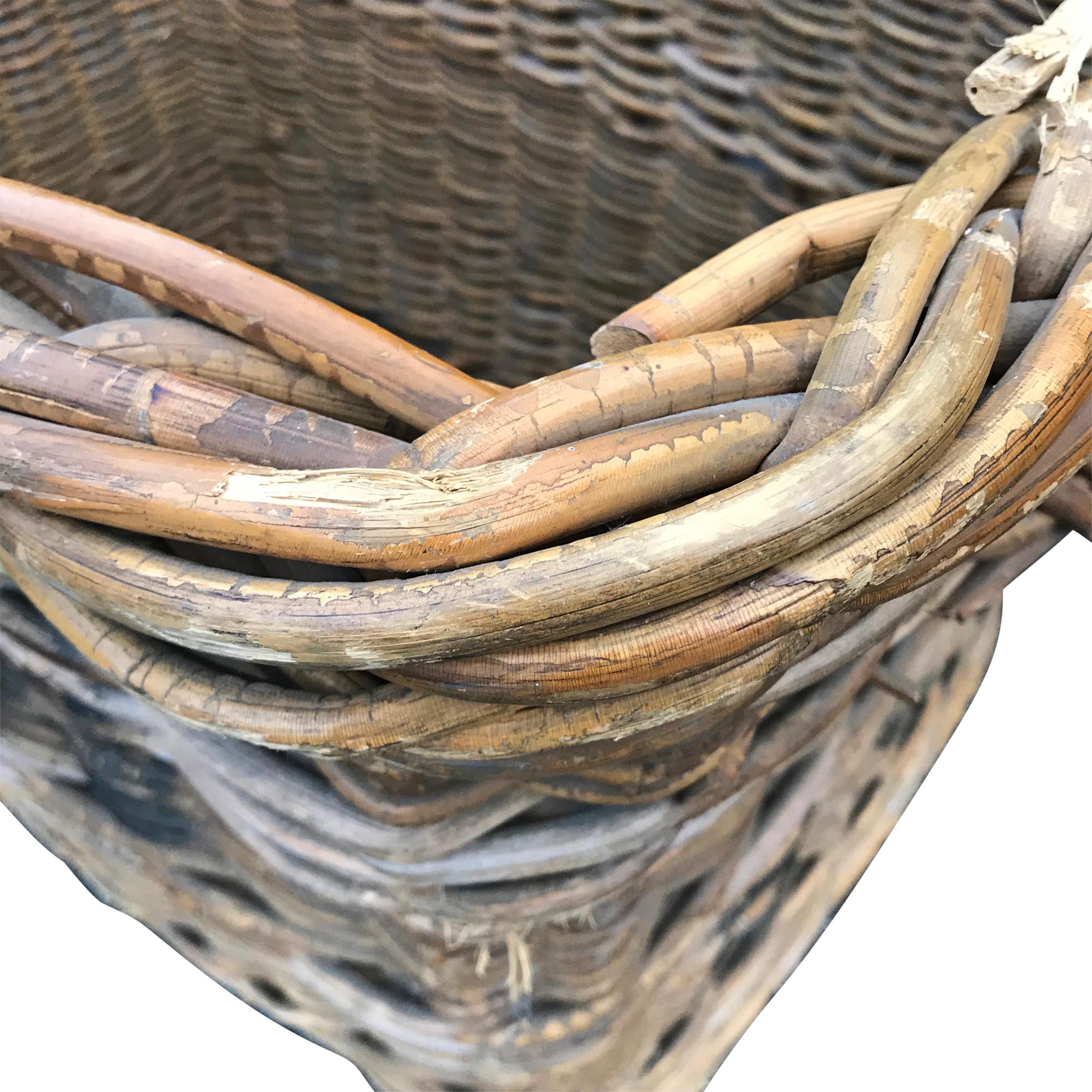 Early 20th Century French Vineyard Basket 1