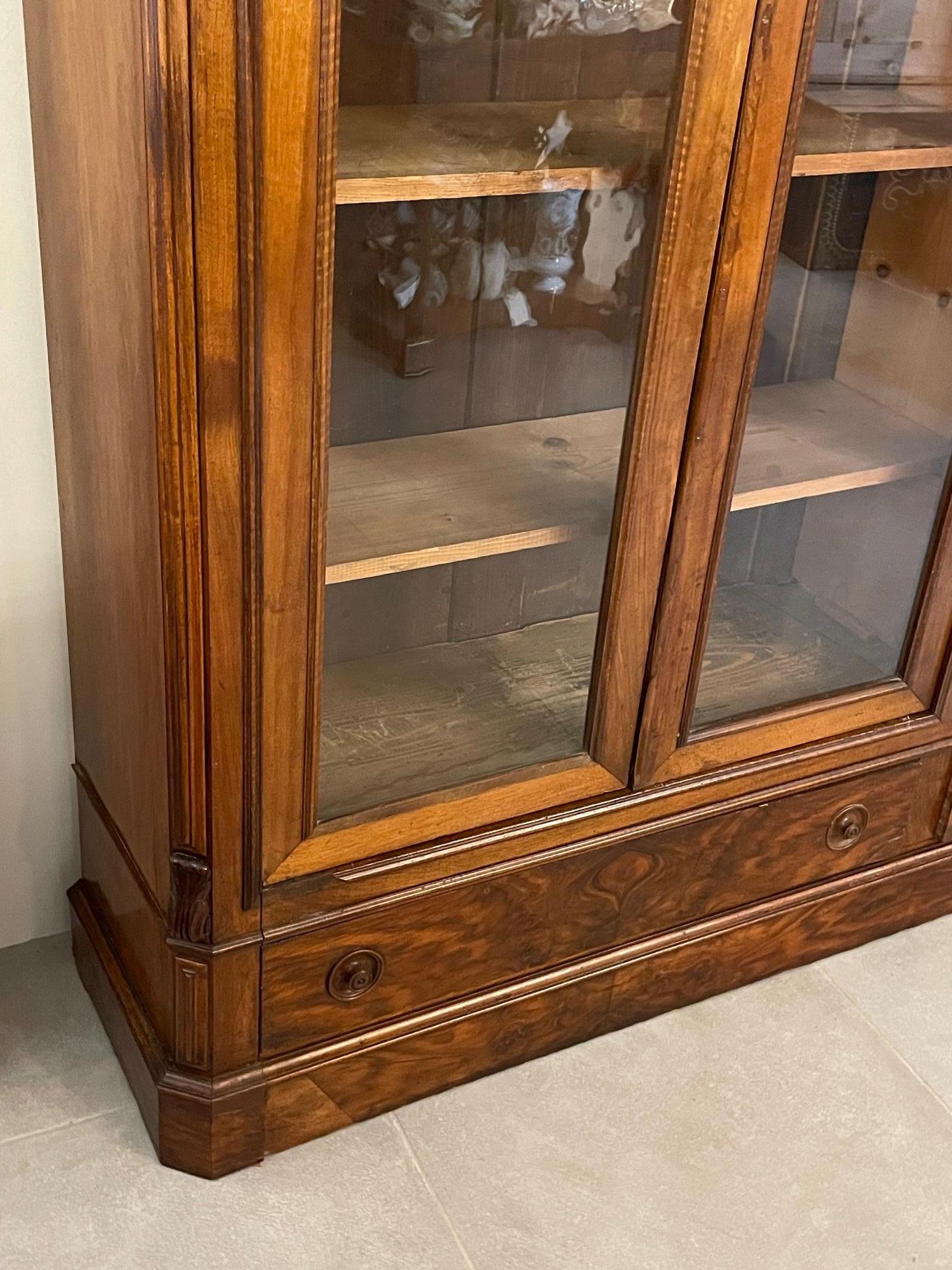 Early 20th Century French Walnut and Blown Glass Doors Vitrine, 1900s For Sale 2