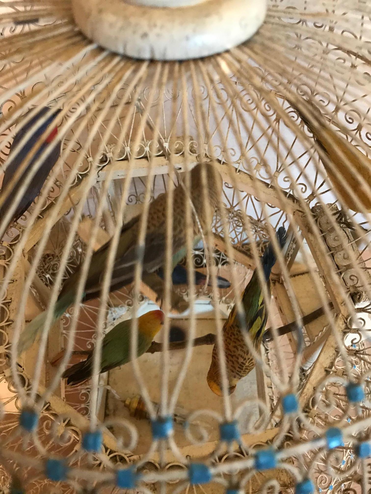 Early 20th Century French White Metal Bird Cage, 1920s 4