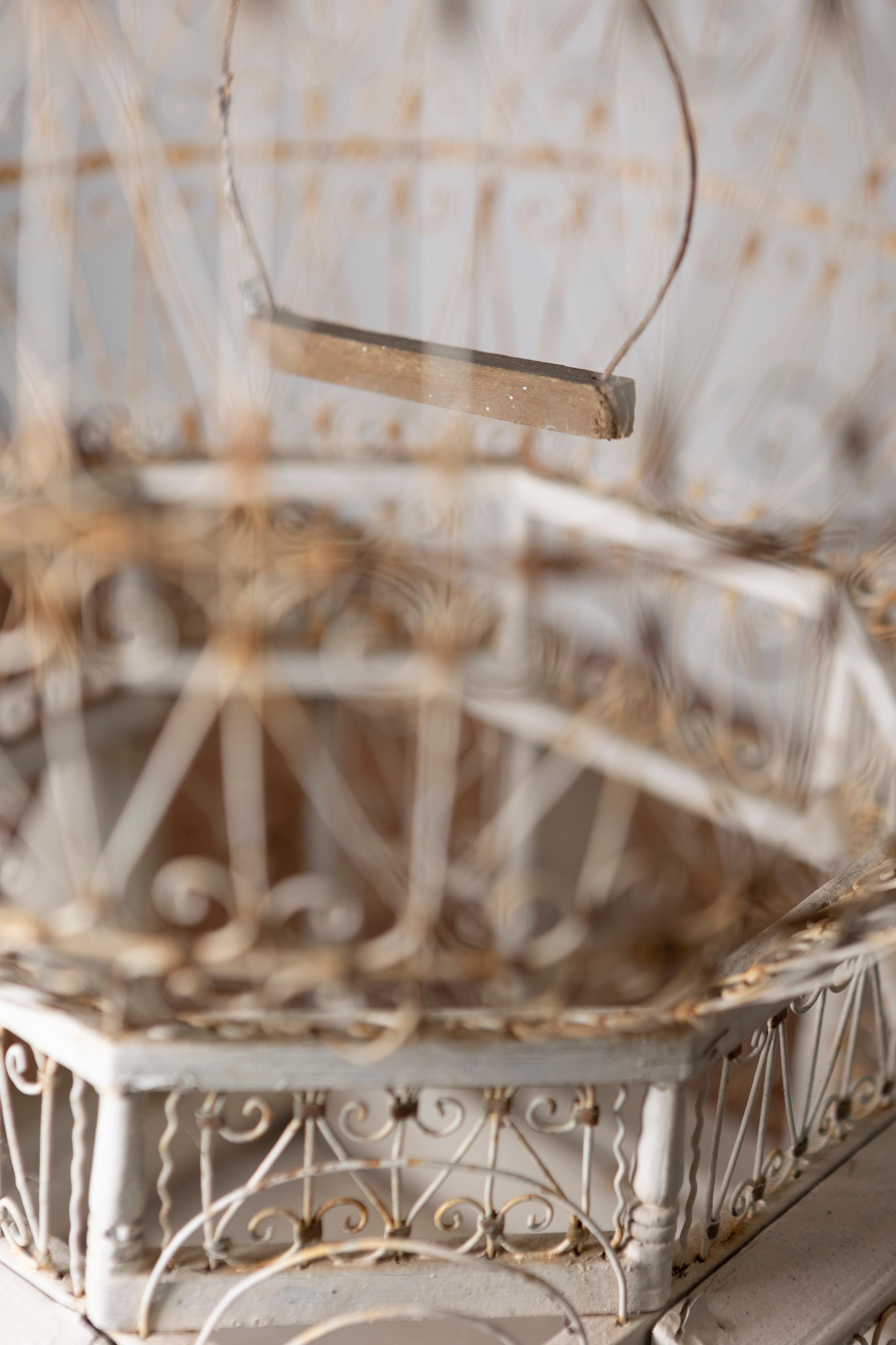 Early 20th-Century French White Wrought Iron Birdcage with Dome Top For Sale 2