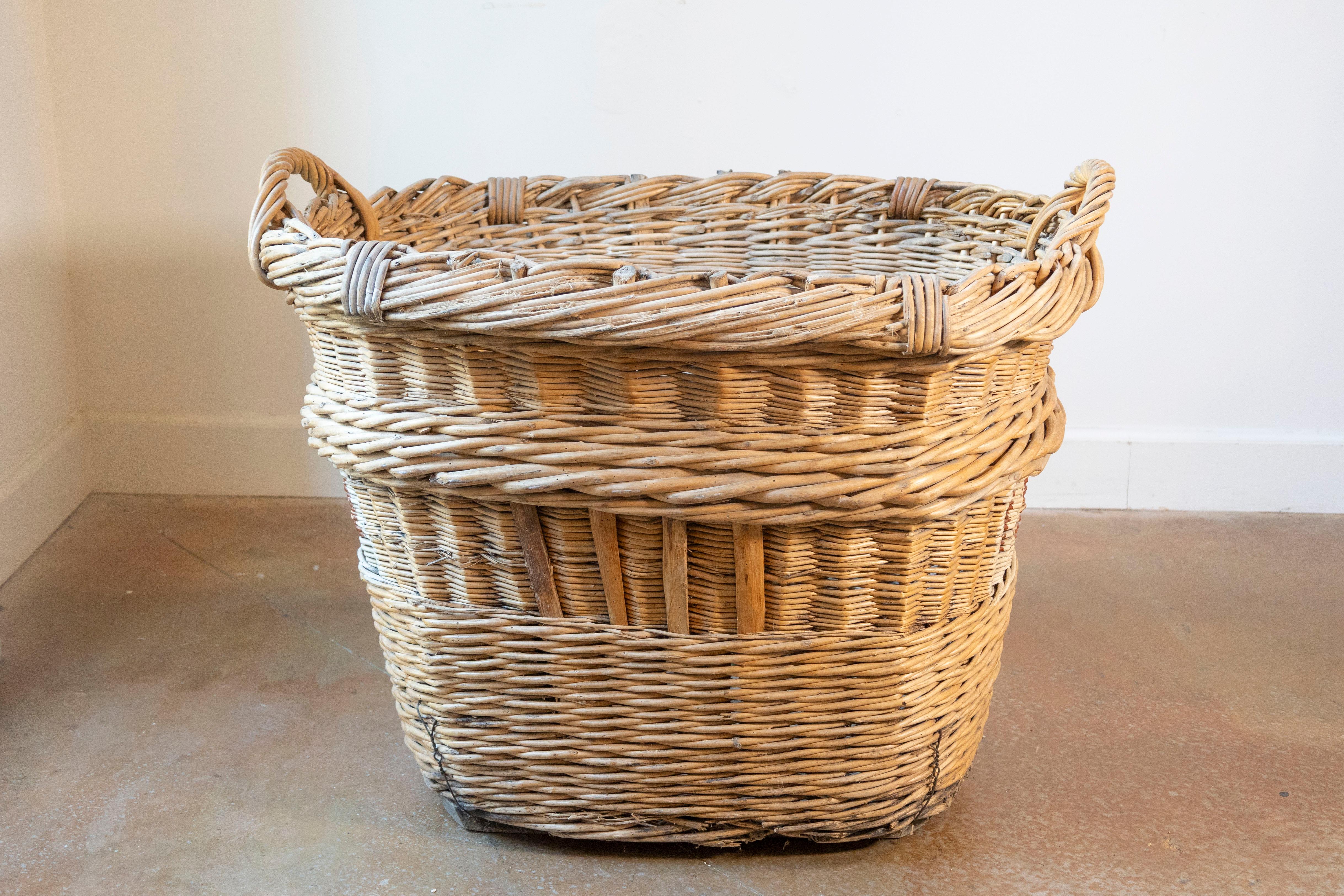 XX secolo Cesto per la raccolta dell'uva in vimini francese dei primi del Novecento in vendita