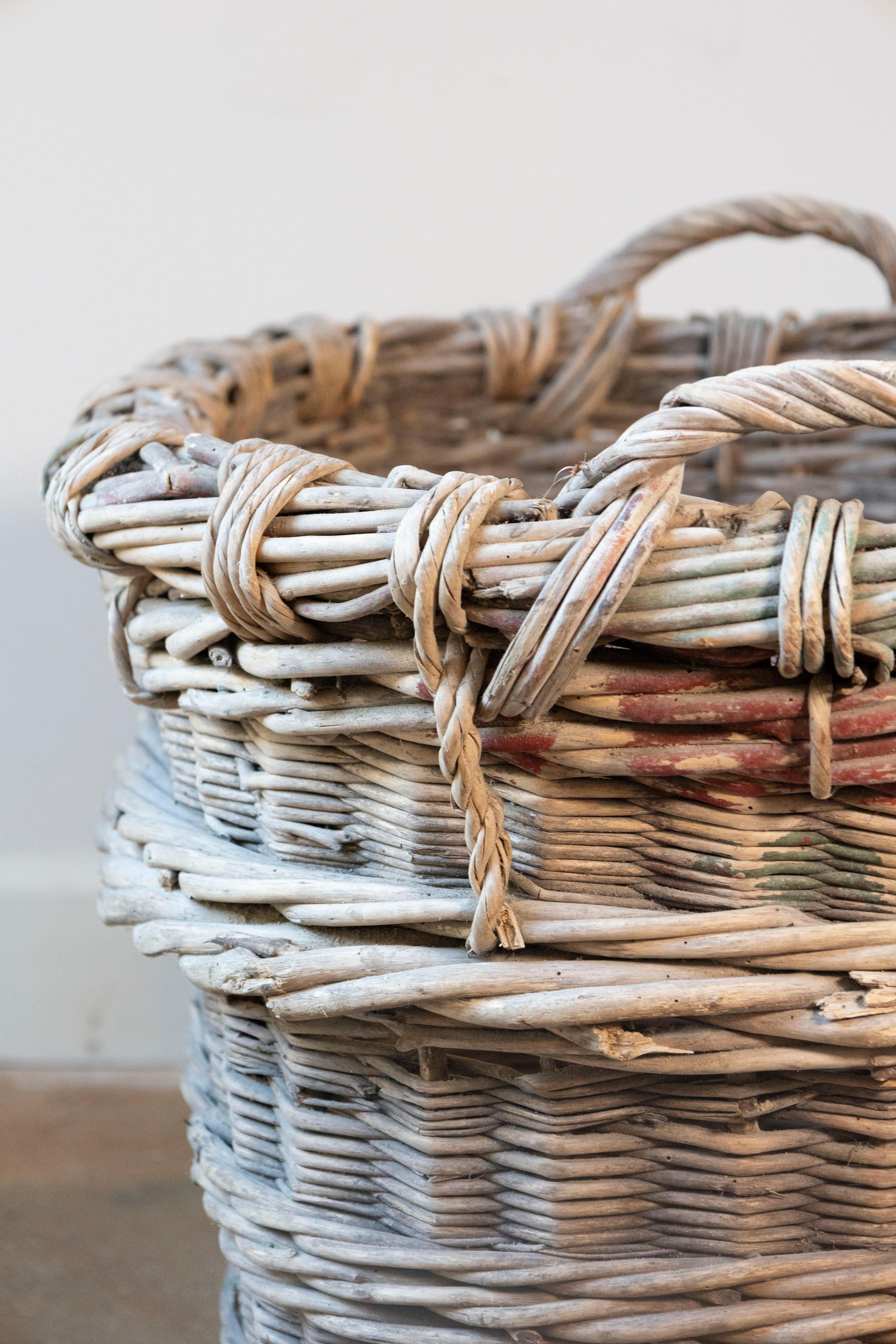 Vimini Cesto per la raccolta dell'uva in vimini francese dei primi del Novecento in vendita