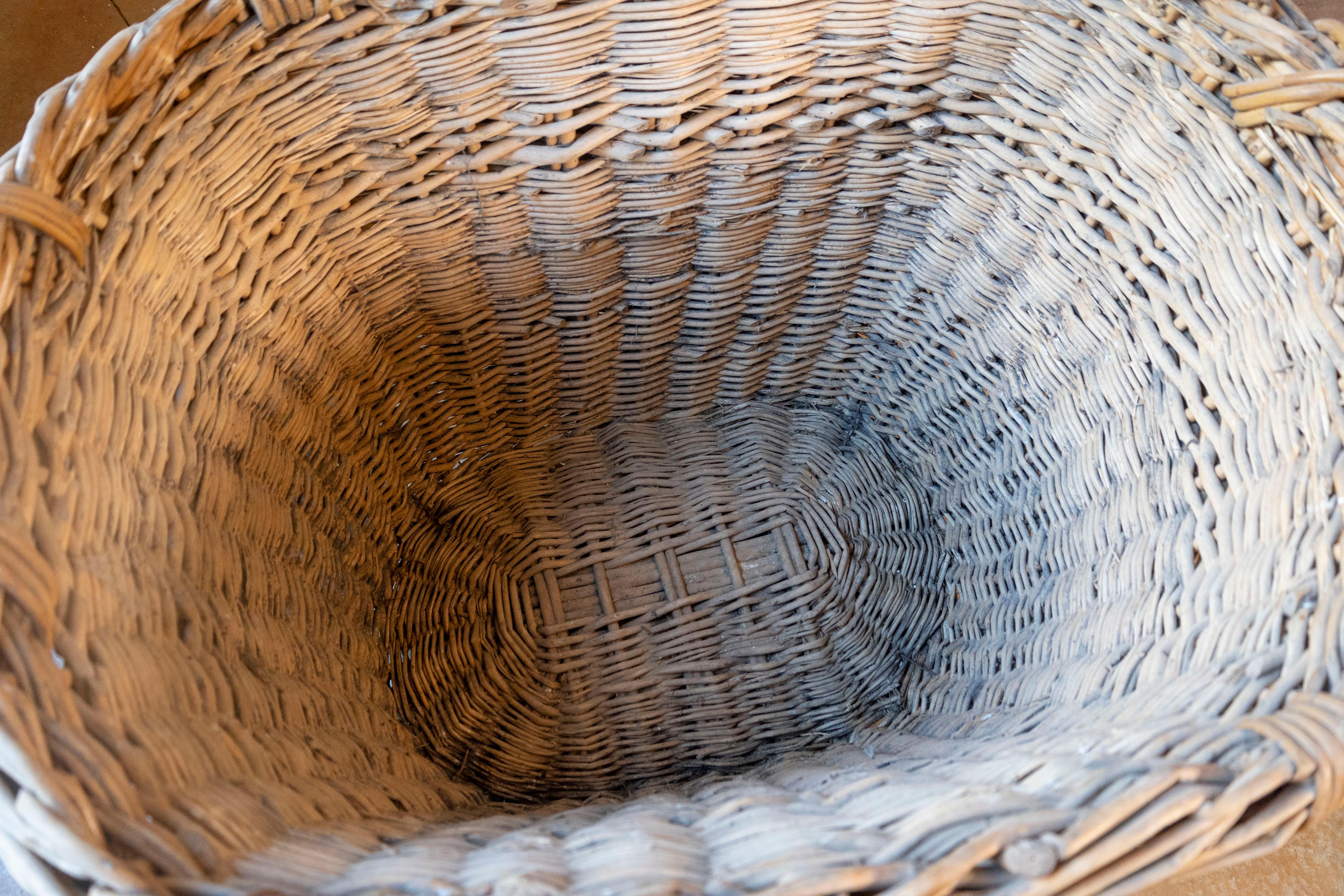 Cesto per la raccolta dell'uva in vimini francese dei primi del Novecento in vendita 3