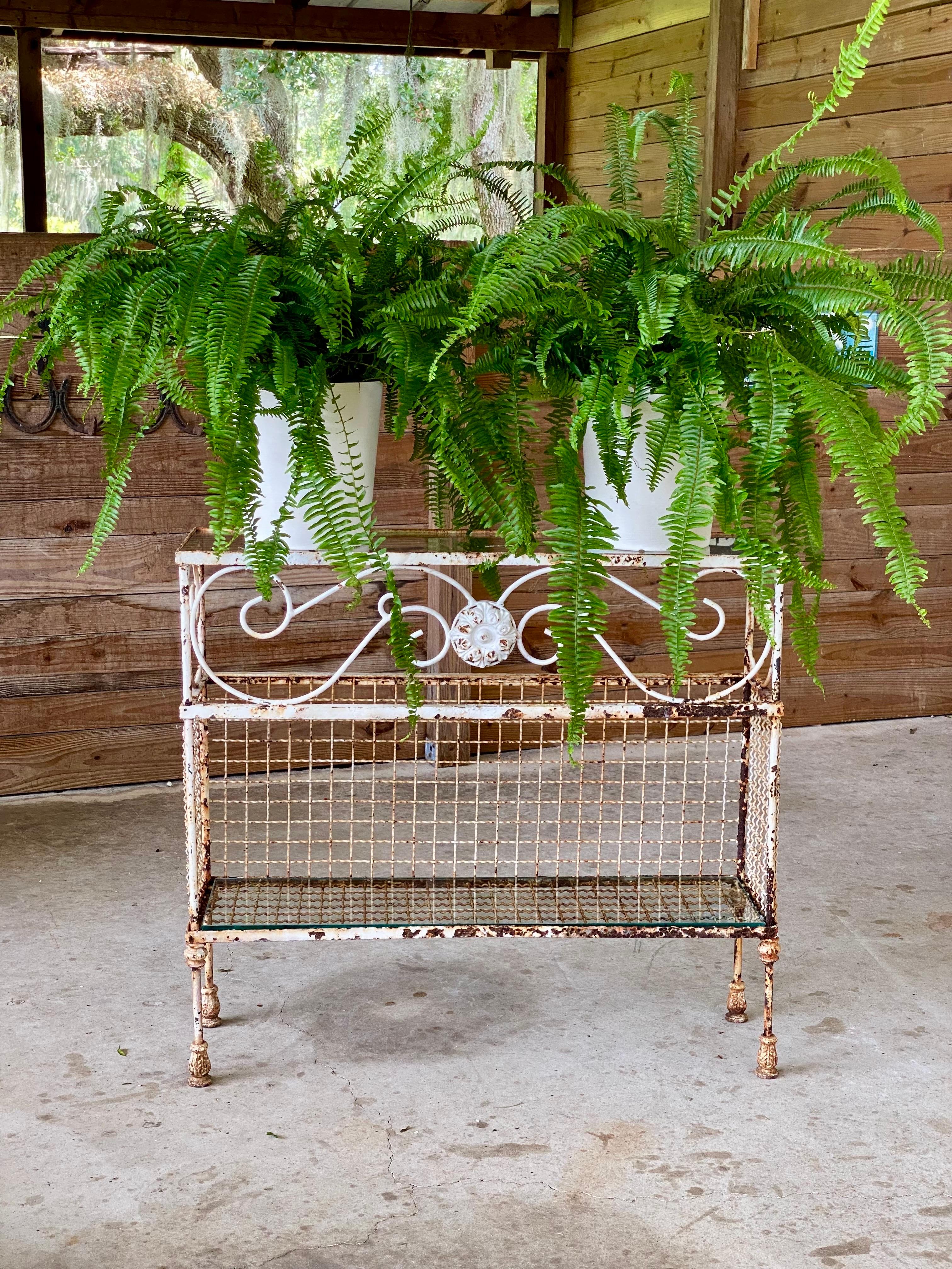 Console en fer forgé français du début du XXe siècle Tablettes en verre et motif d'Acanthus en vente 6