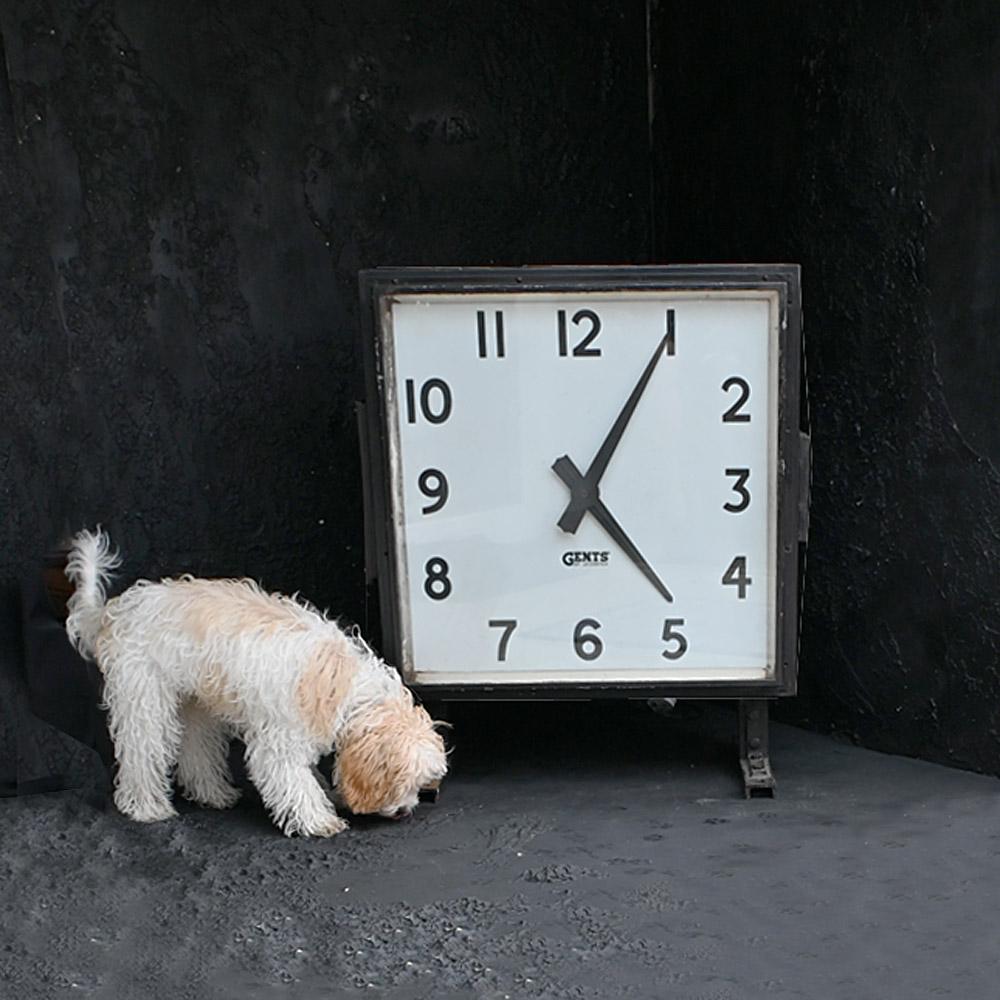 Early 20th Century Gents of Leicester English Double Sided Station Clock

A larger than life square example of an original early 20th century Gents of Leicester English double sided station clock. Illuminated on a 240v power source cable and working