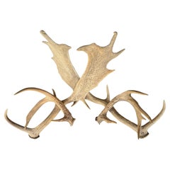 Early 20th Century German Antler Coat and Hat Rack from a Hunting Lodge