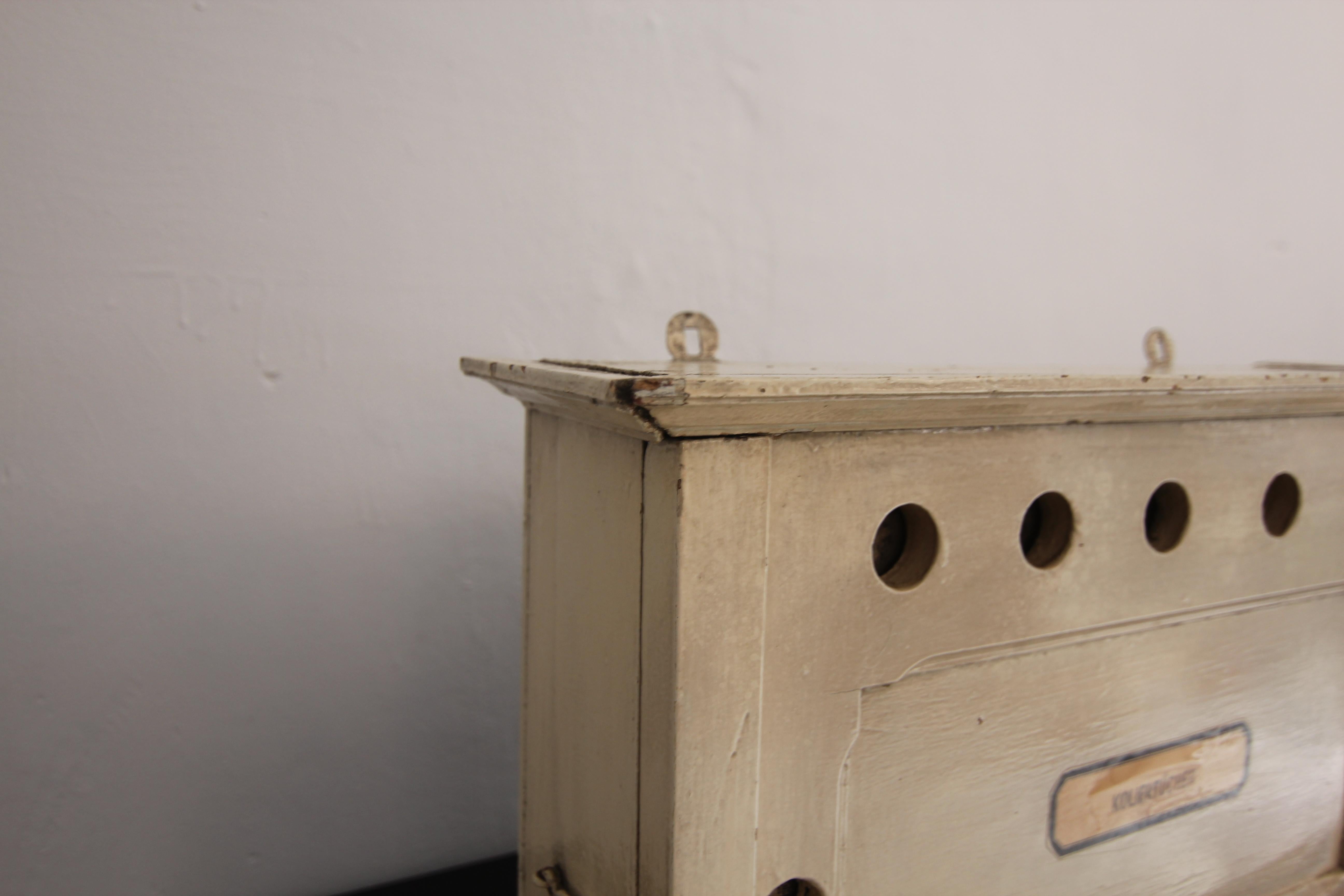 Pine Early 20th Century German Cheese Dairy Cheesecloths Wall Cabinet